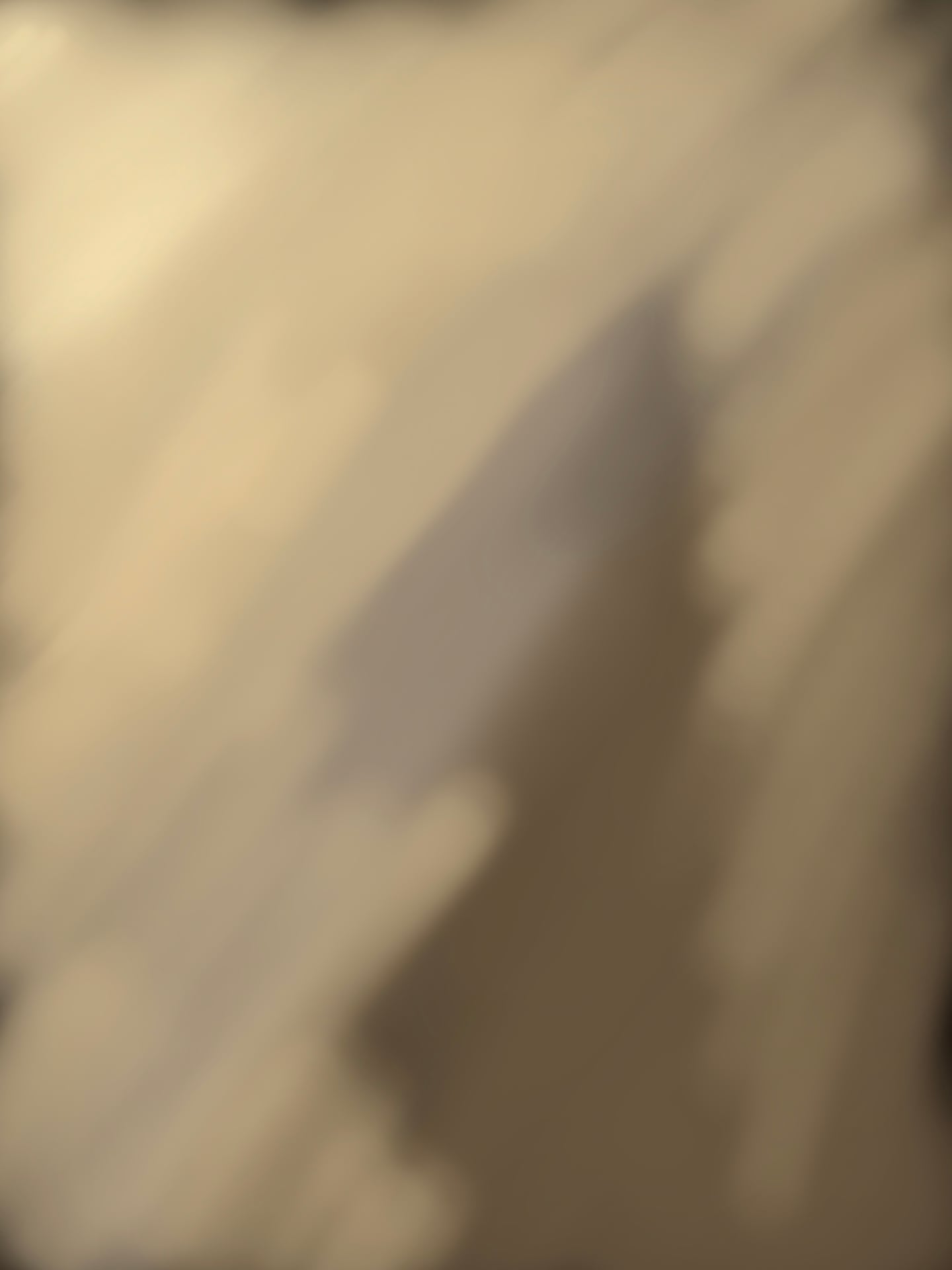 681366cbaee6e.jpg