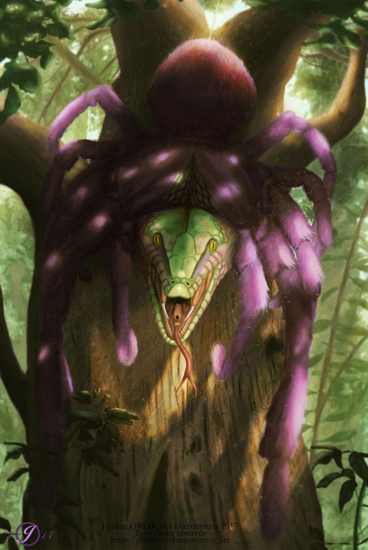 Carte Araignée-Vipère des bois_taille réglement par Hieronymos