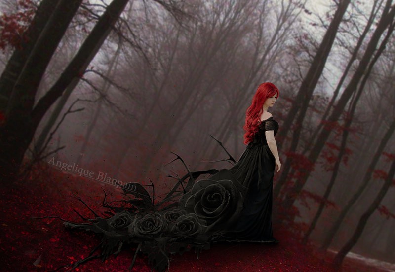 dark rose par Blanpain Angelique