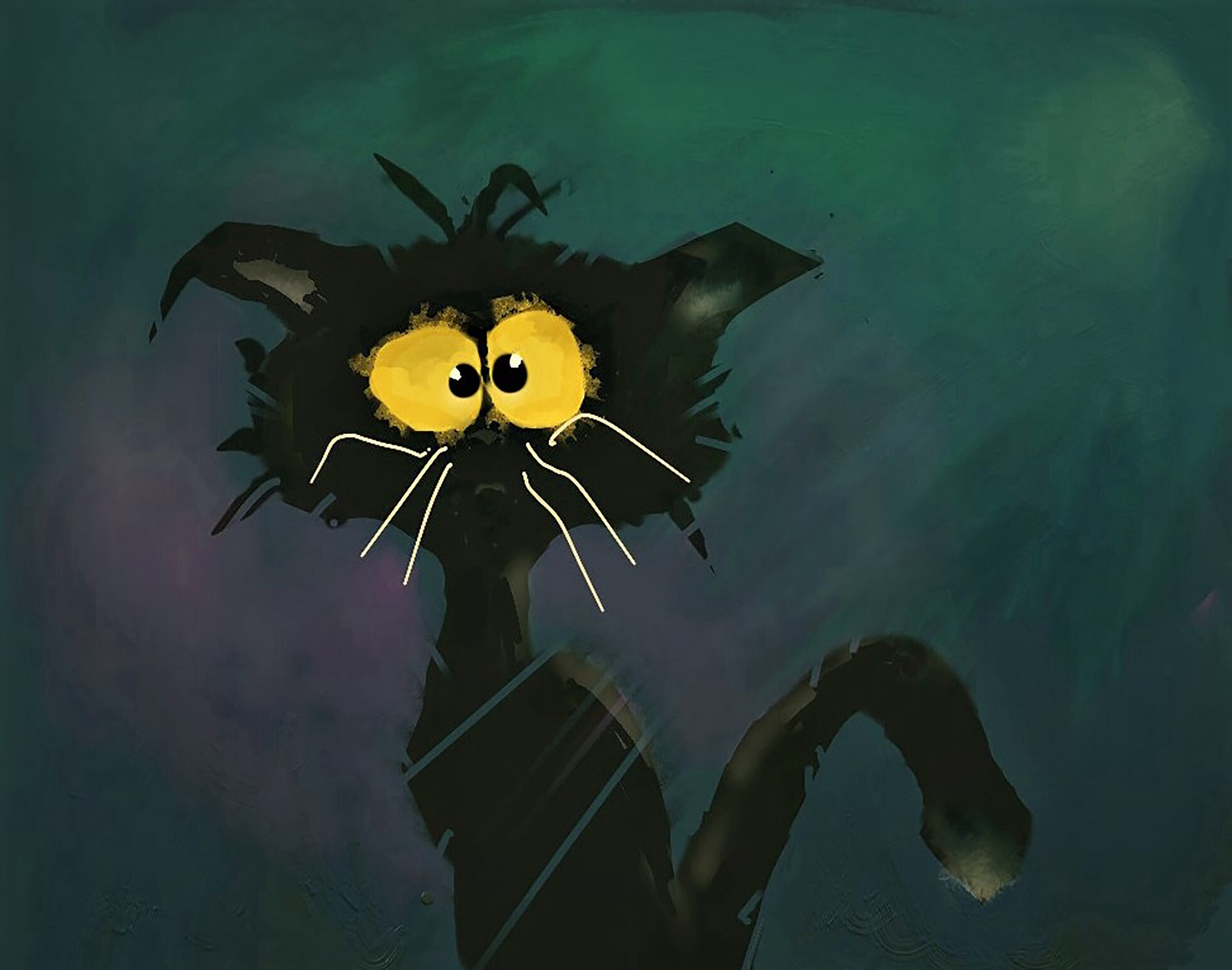 black cat par mordreddk