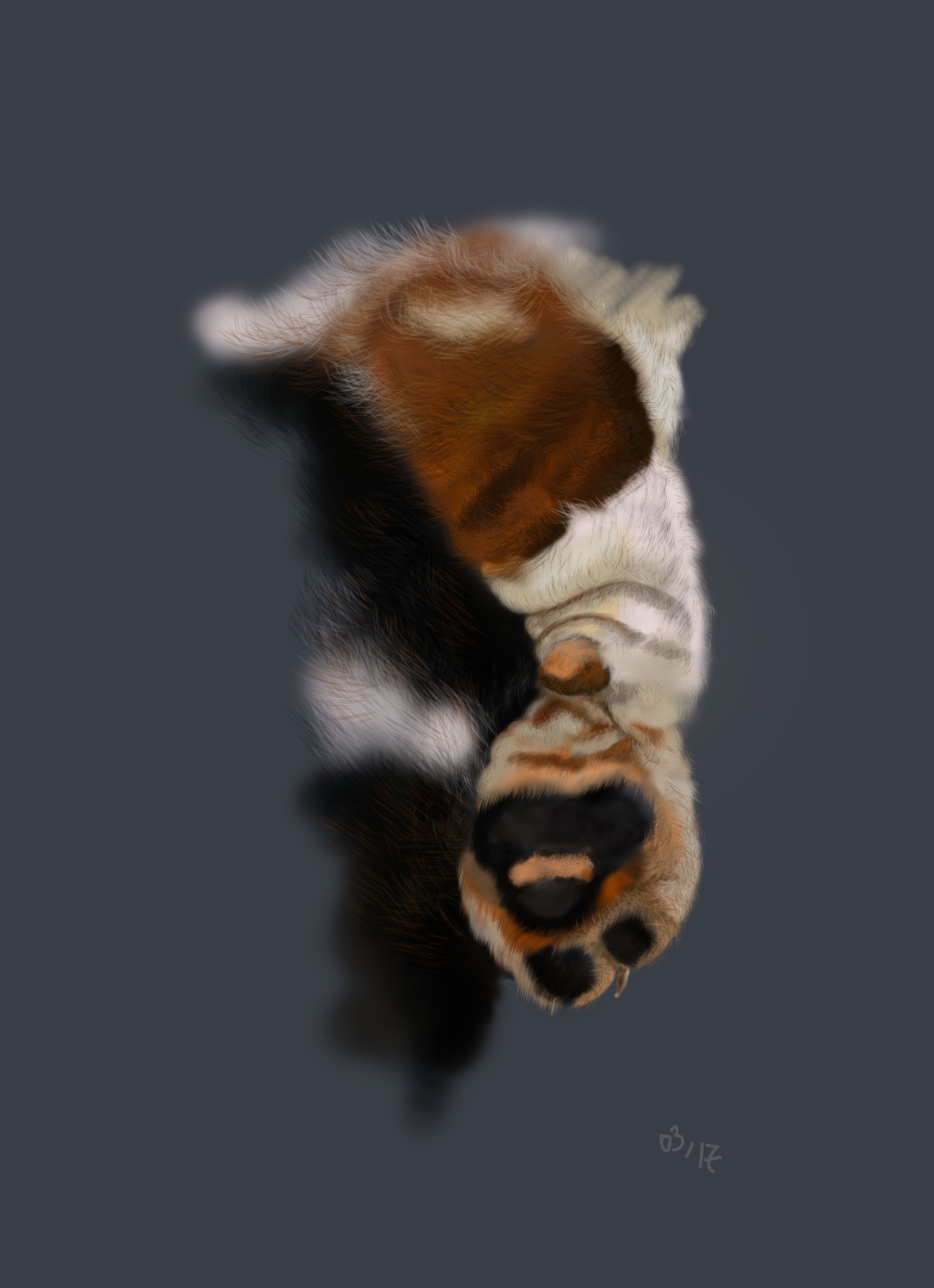 essai pate rosie par France Nguyen