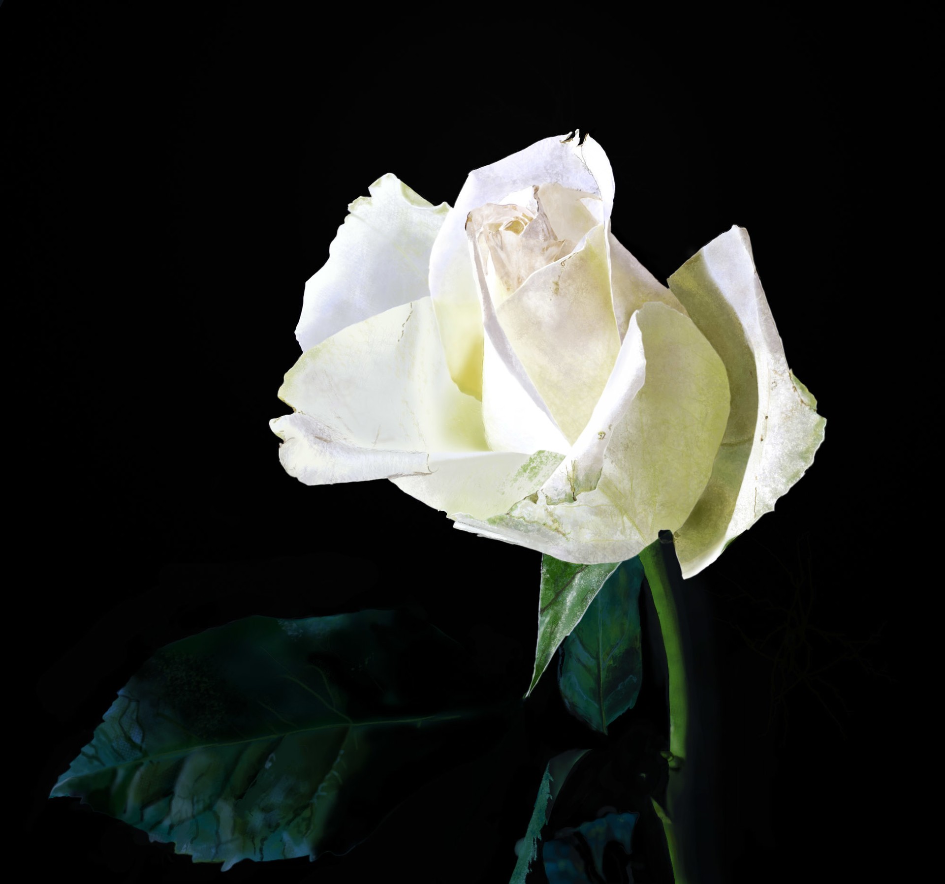 photo_exercice_lasso2 aurelie par Aurelie