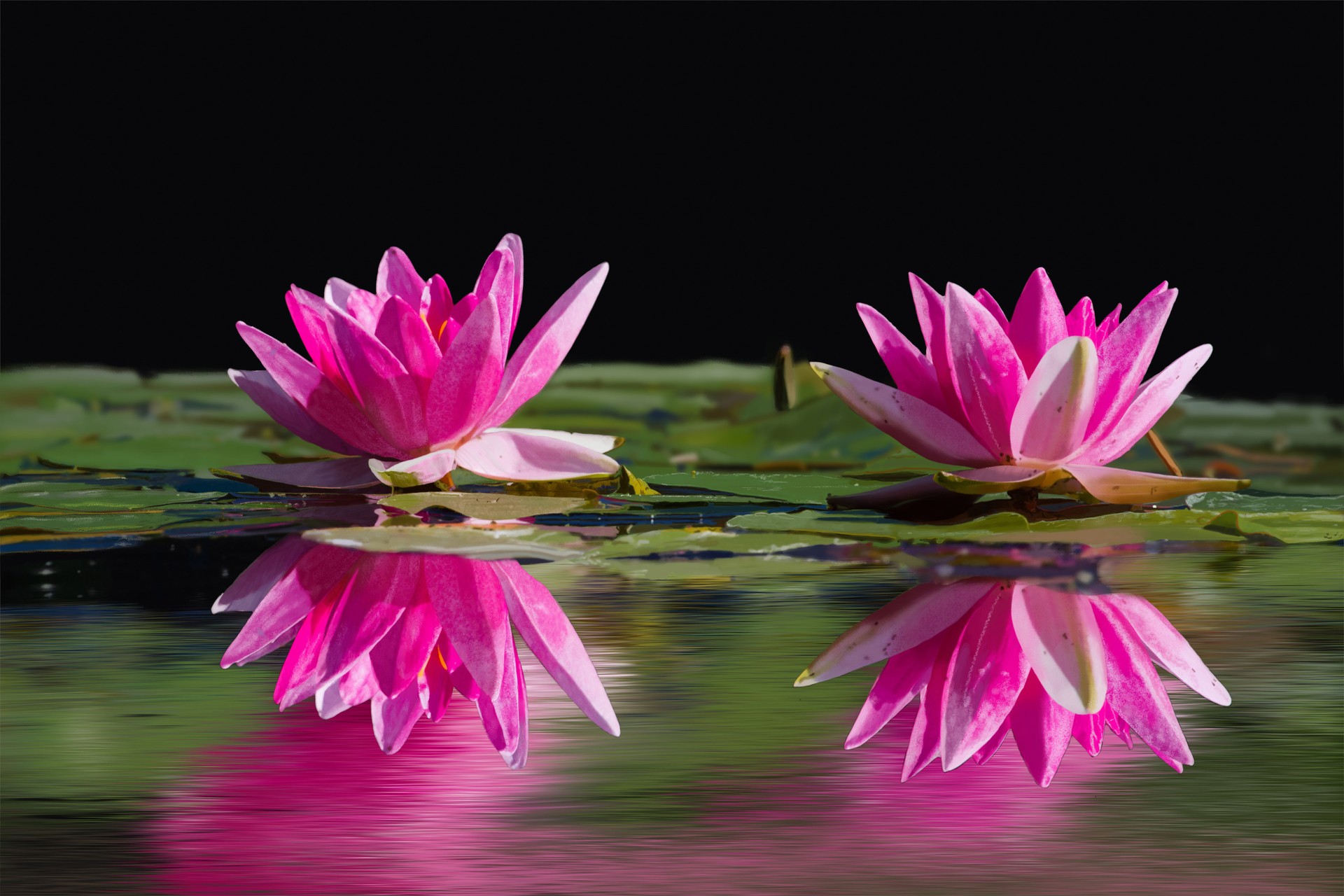 photo_exercice_lasso3 aurelie final version1 par Aurelie