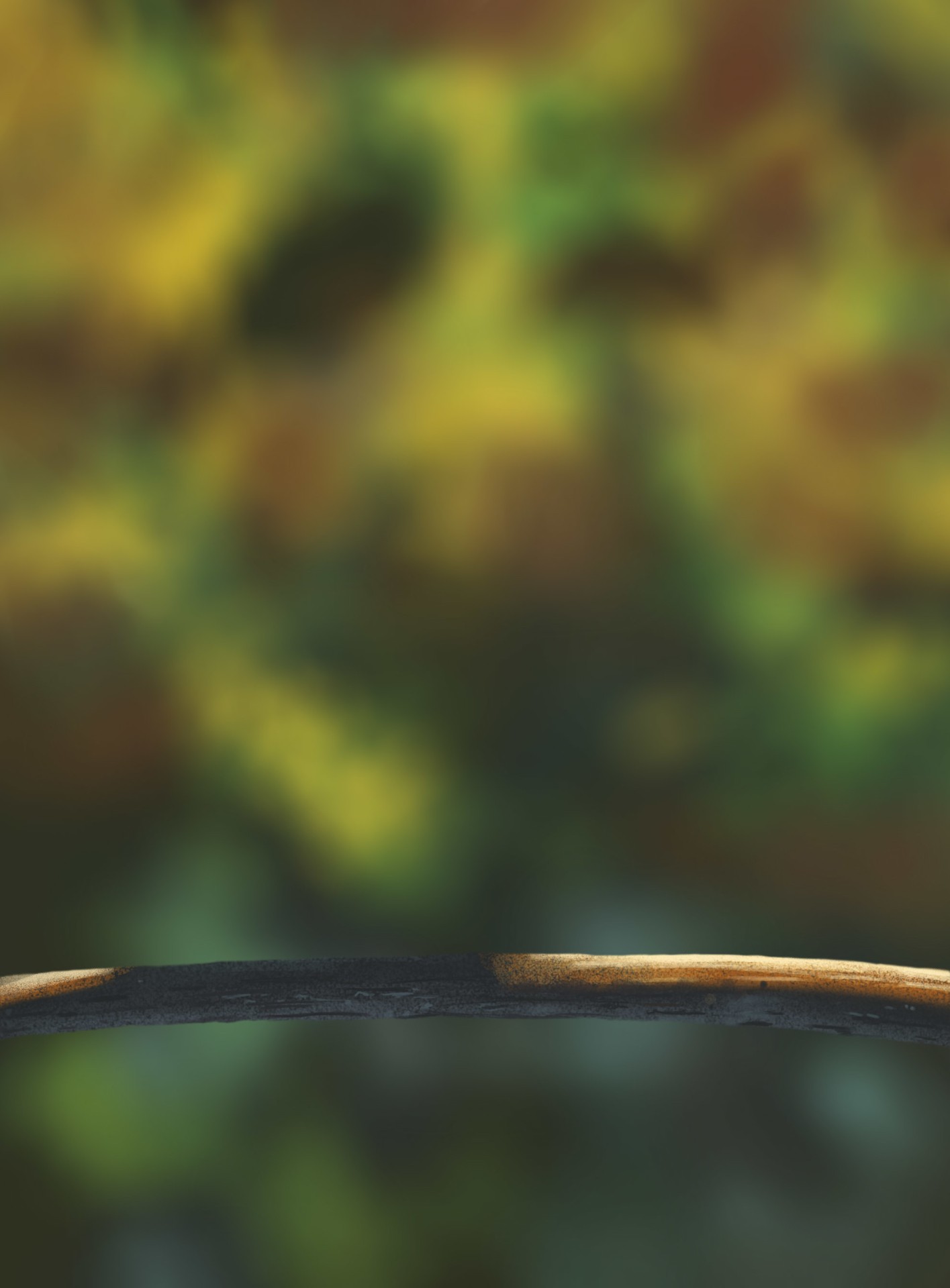 DPS Prog-1-1-Exercice5-Oiseau-Commencement aurelie par Aurelie