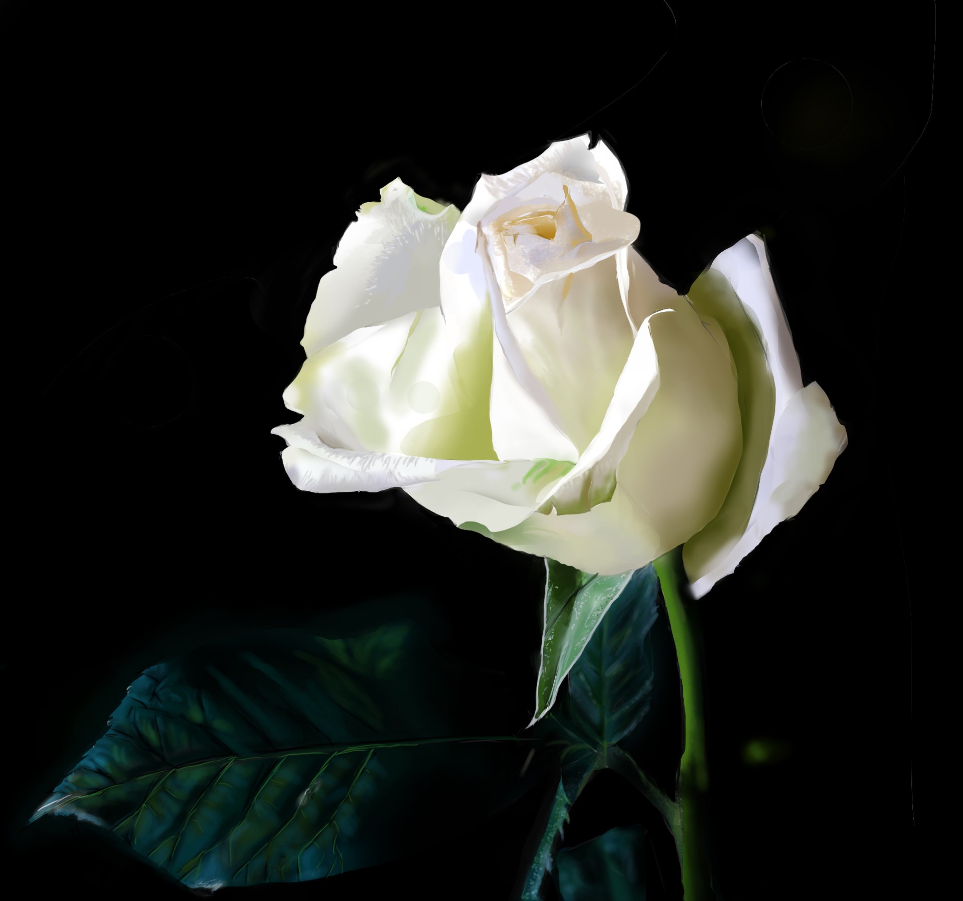 rose et feuilles final par xadec