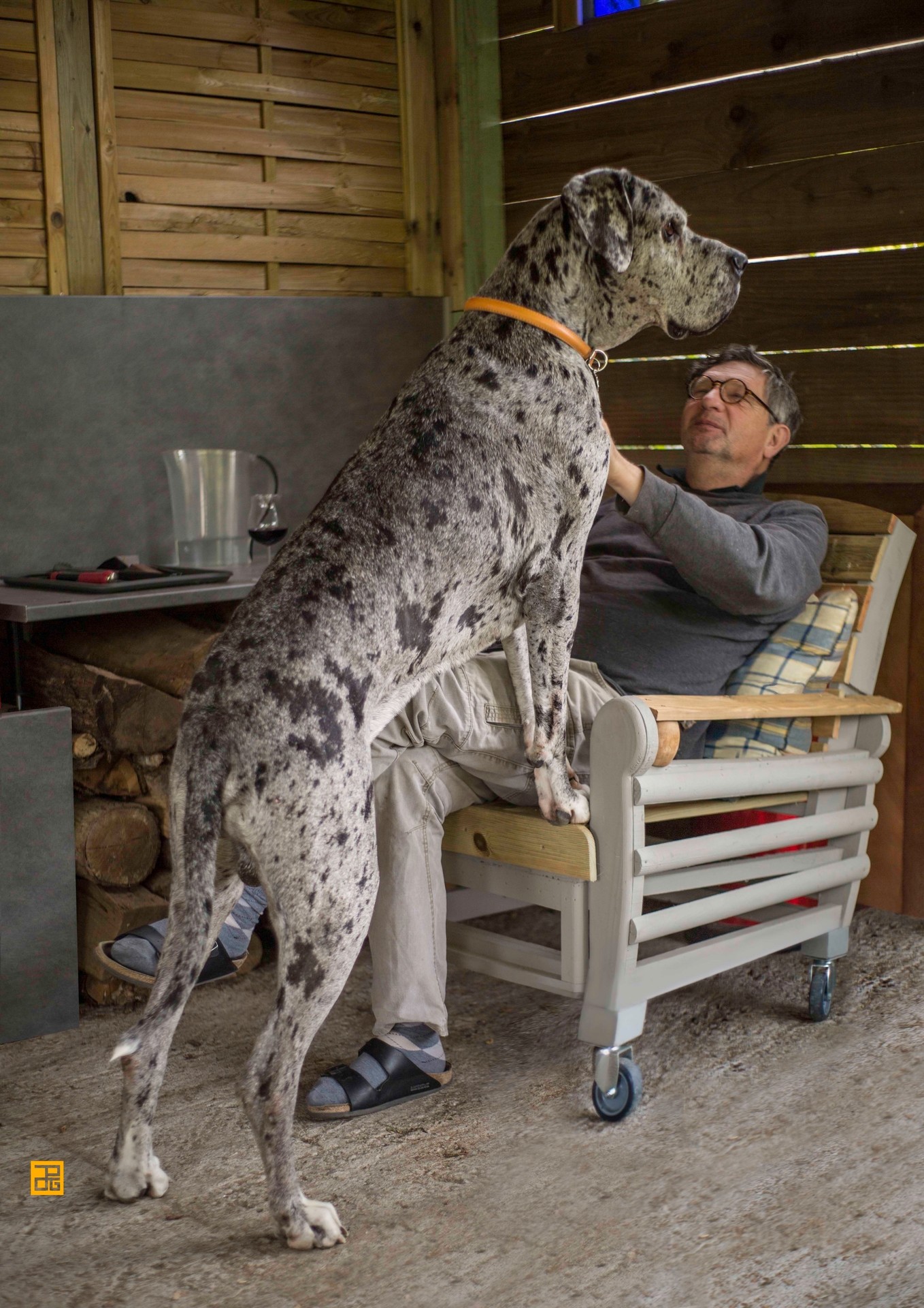 diogene 1 par Diogene Prugneau