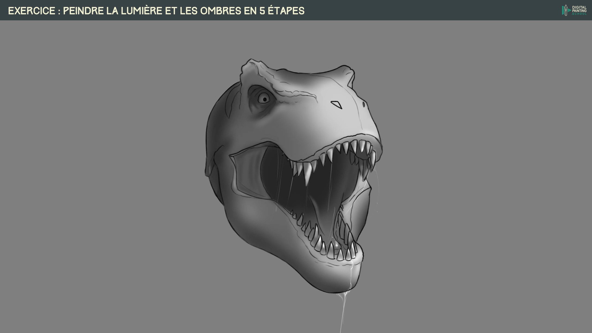 DPS-exercice-lumière-5-etapes par louest