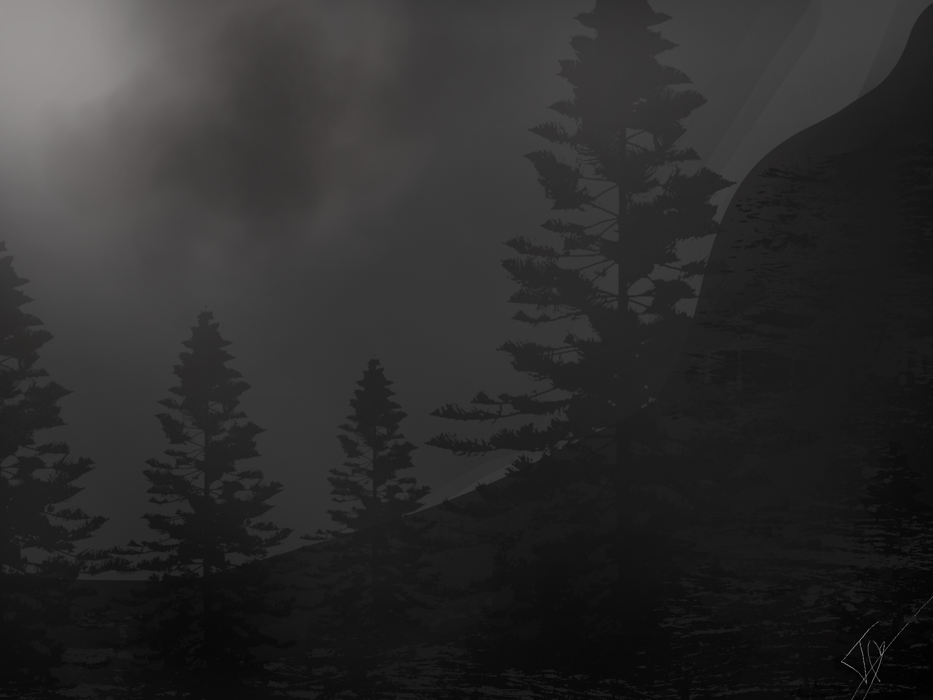 Forêt noire par theo12809