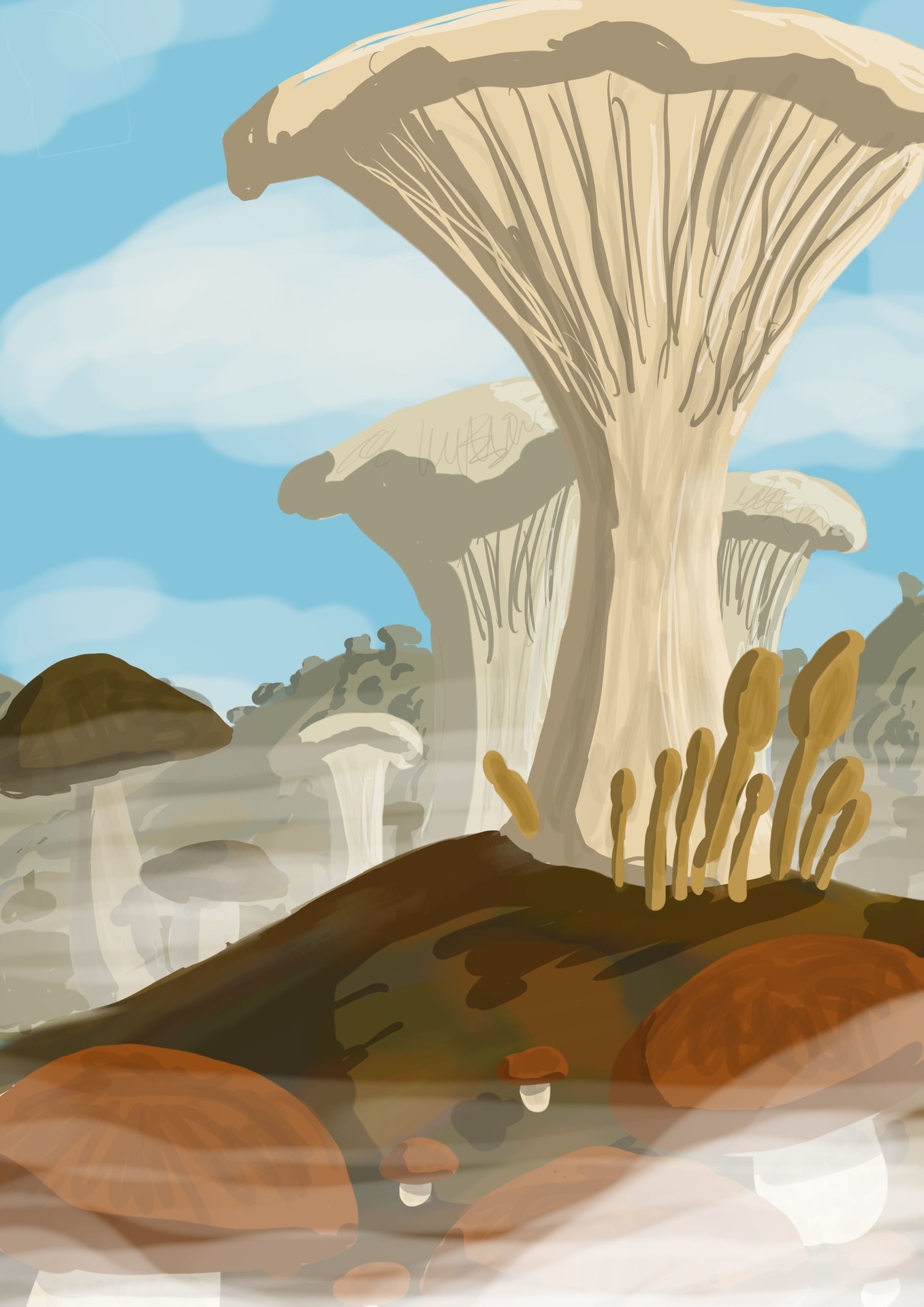 Marais de champignons par Narmenes