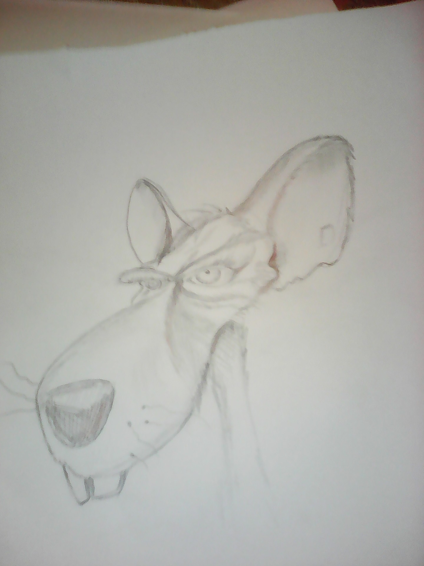 IMG_20170916_192736 par kachi