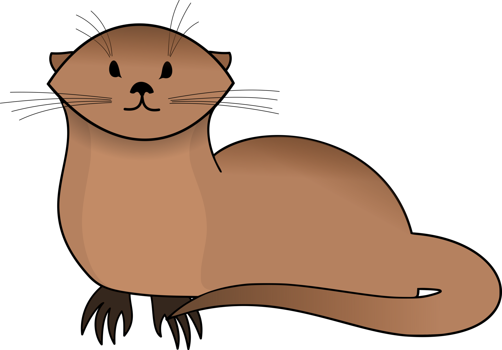 Loutre co par Charvictugo