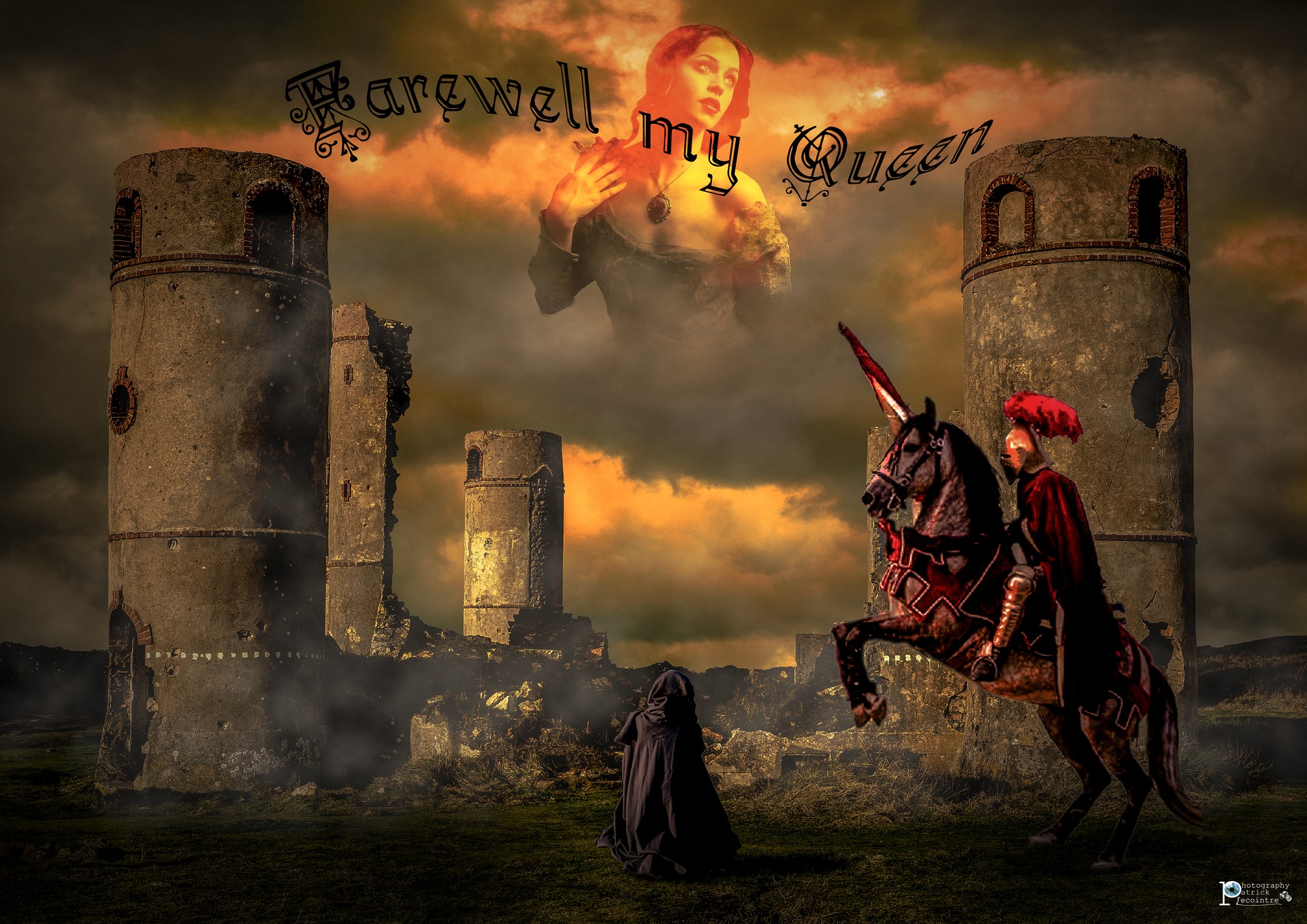 adieu ma reine par Patrick Lecointre