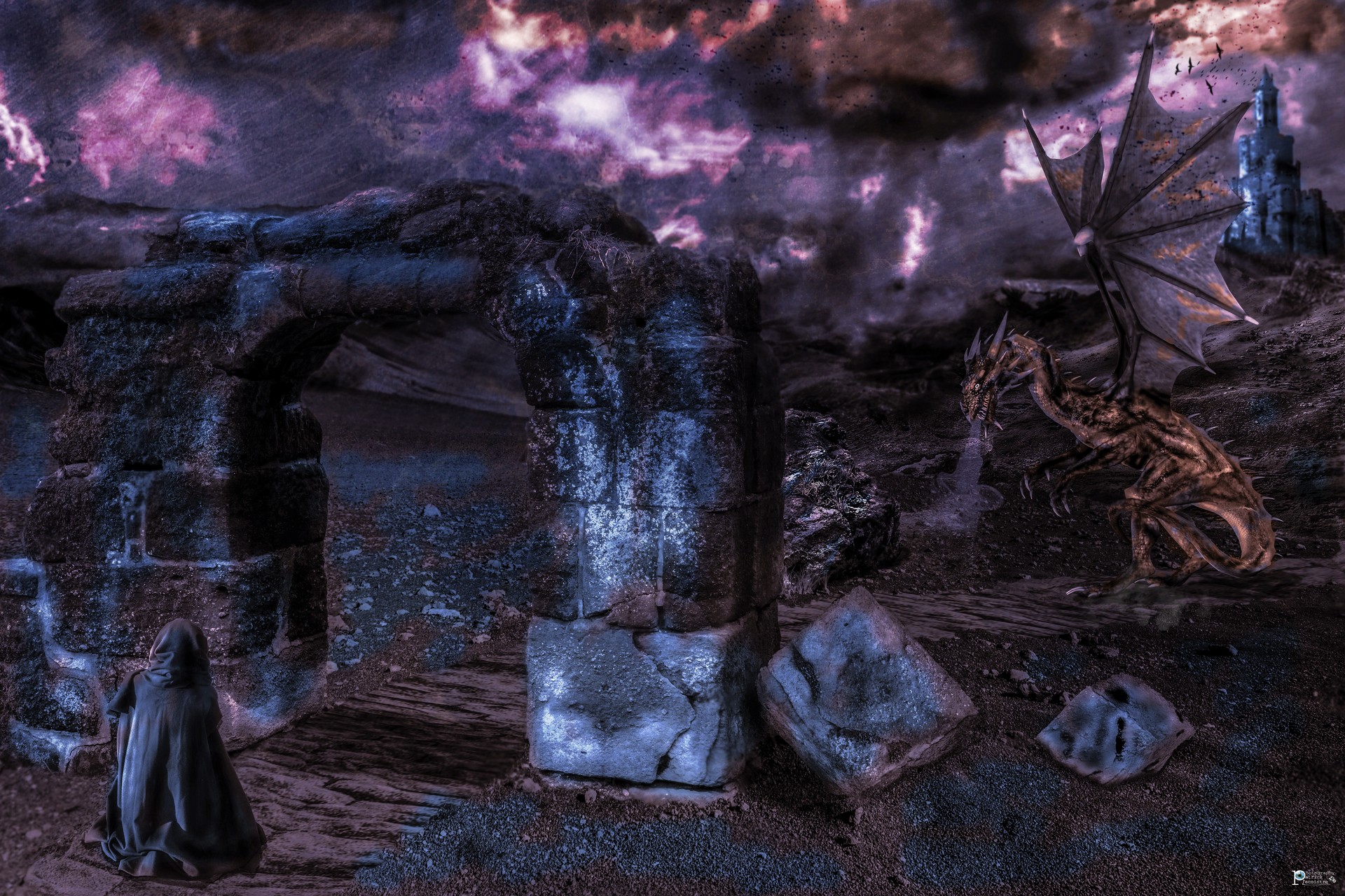 le chateau du dragon par Patrick Lecointre