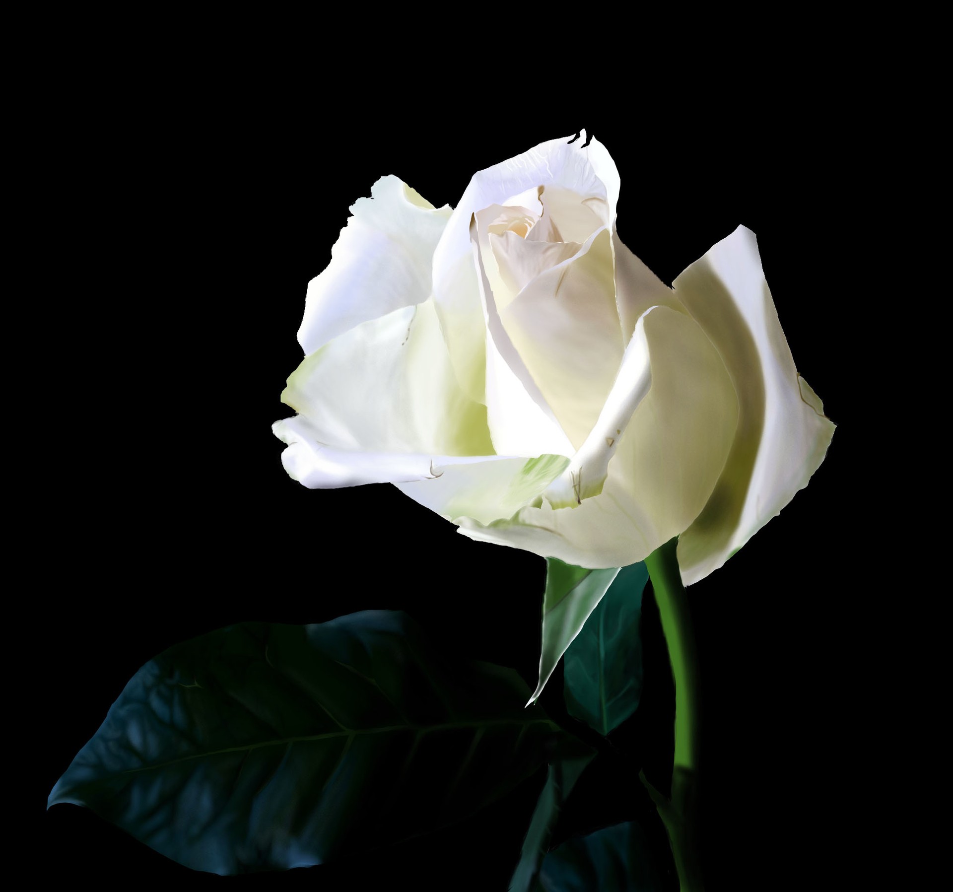 photo_exercice_lasso2 par Mattari