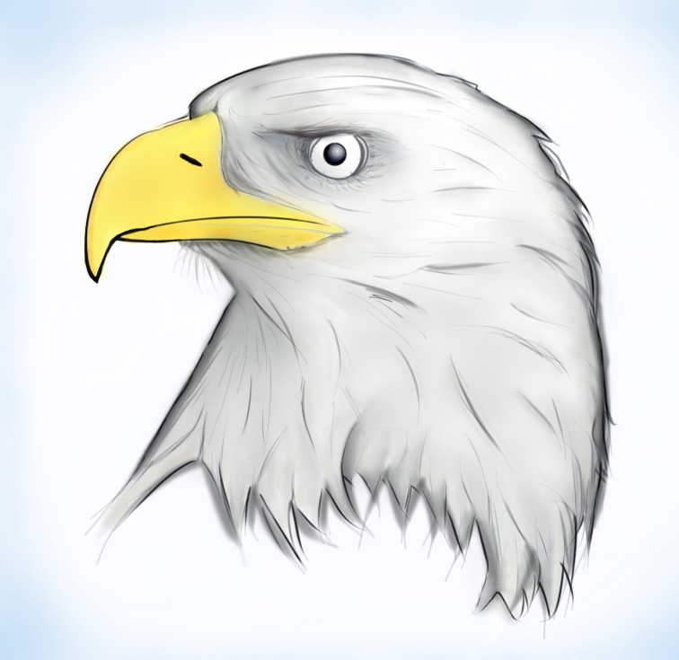 aigle par Mike.M