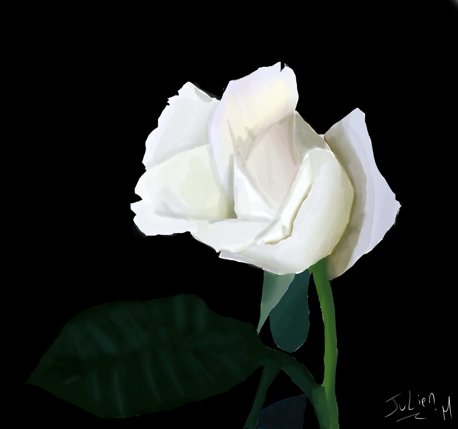 exercice lasso rose fini par serpenteur