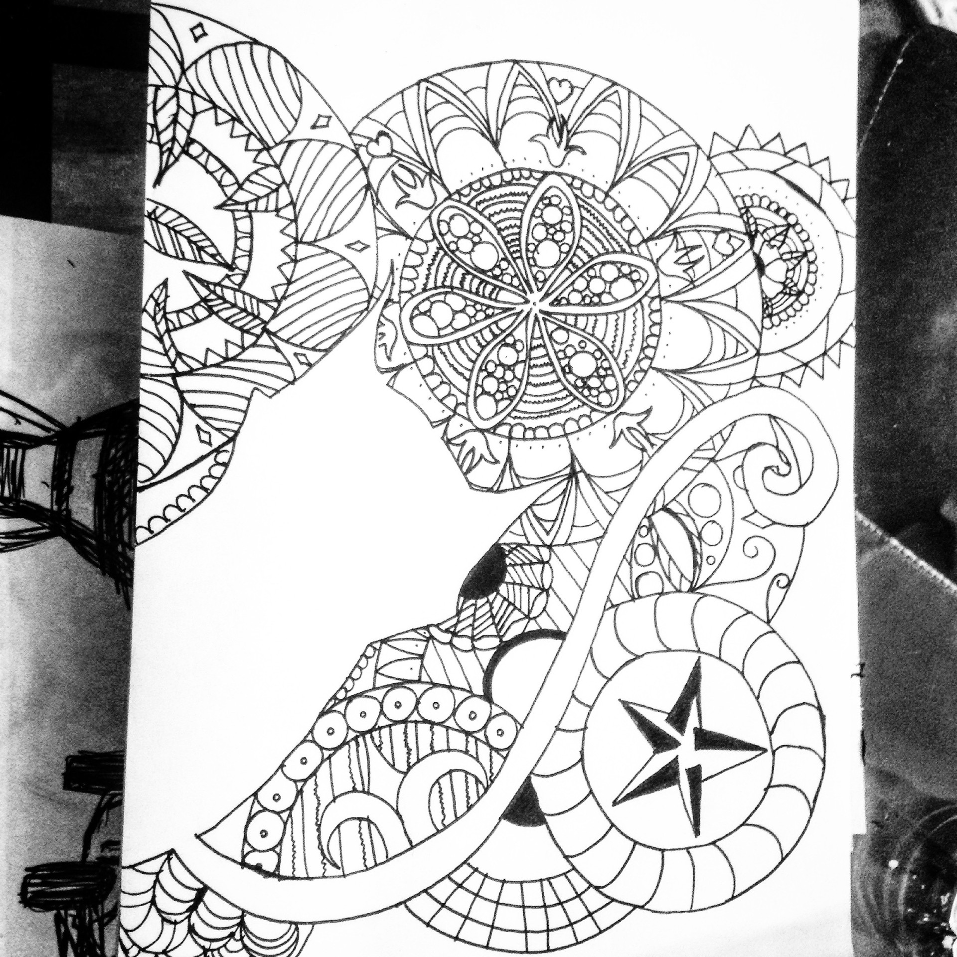 IMG_0935 par Nekokun