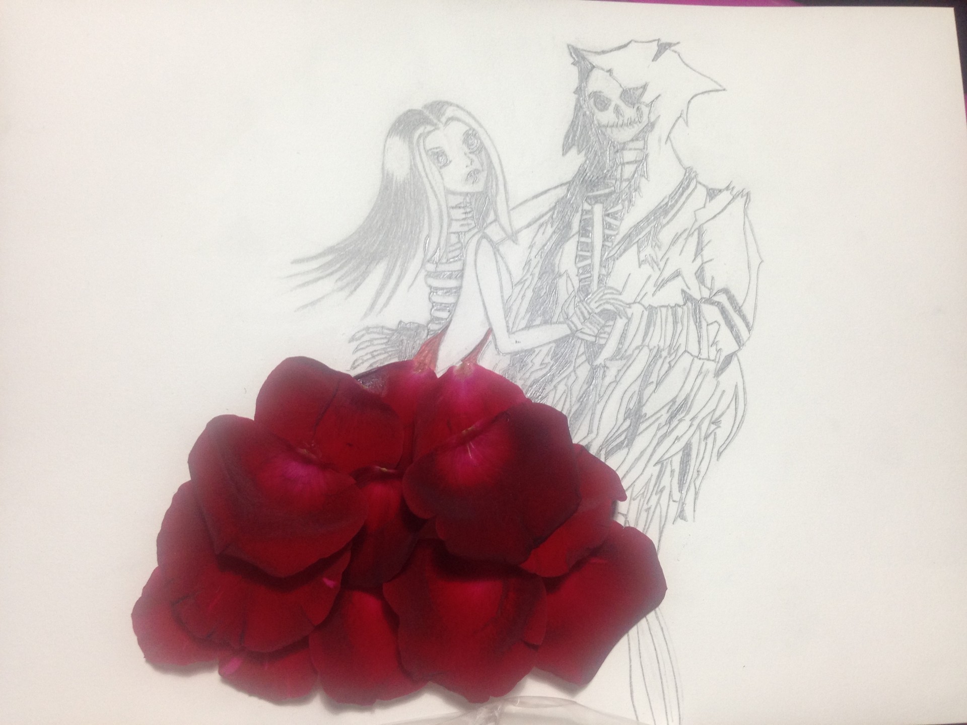 IMG_0103 par Nekokun