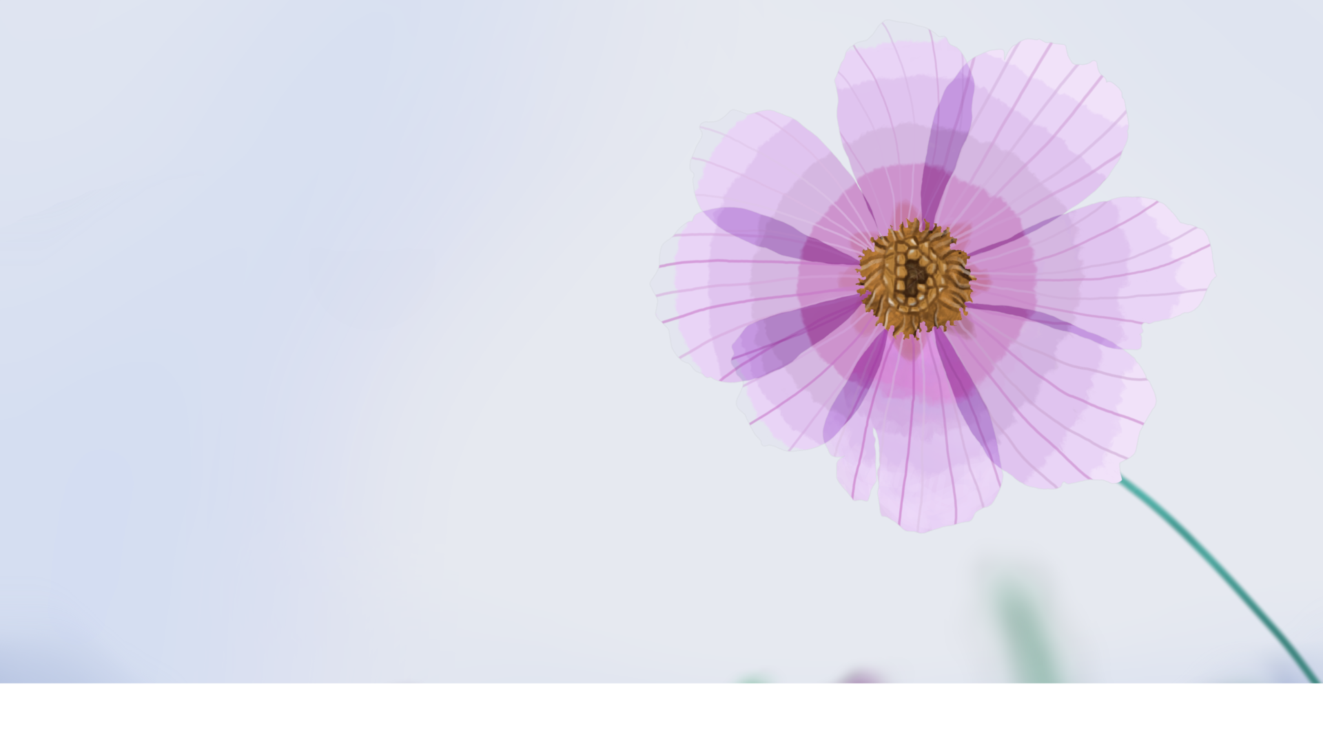 fleur par Nathan van Hemelryck