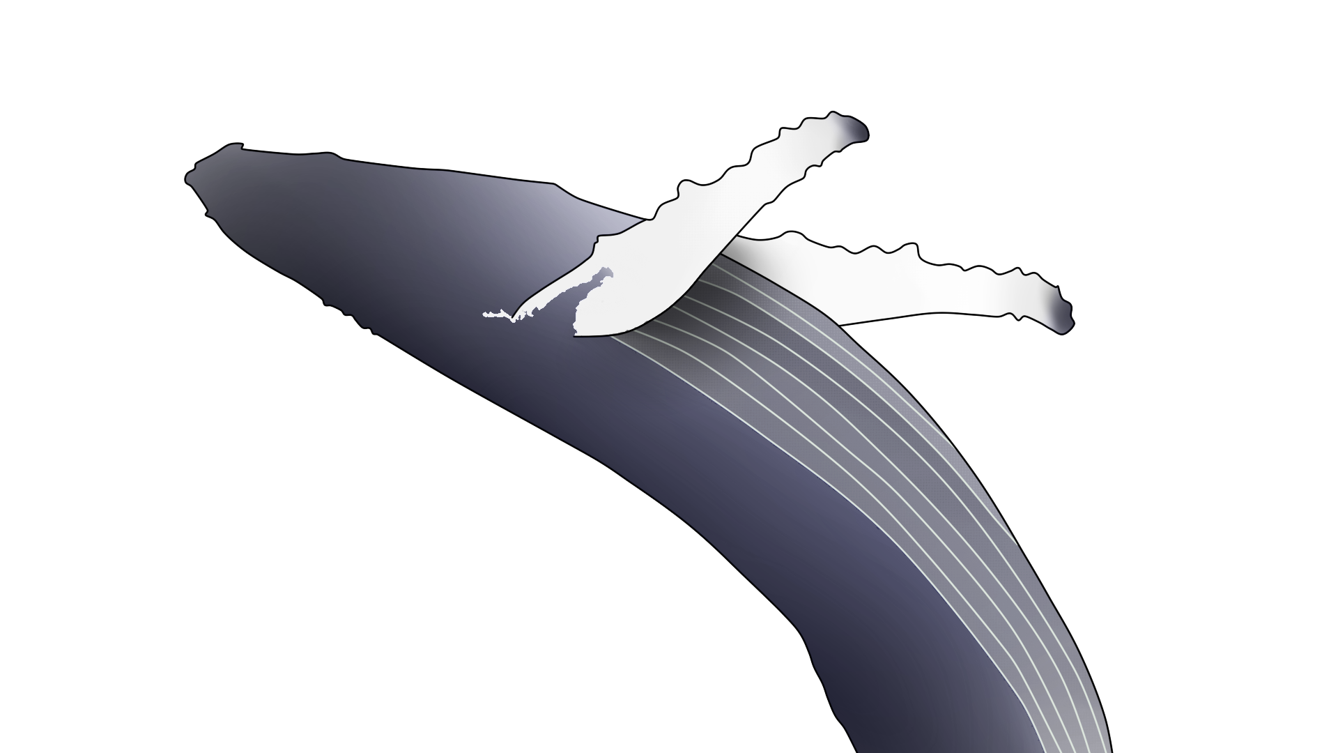 nono par Nathan van Hemelryck