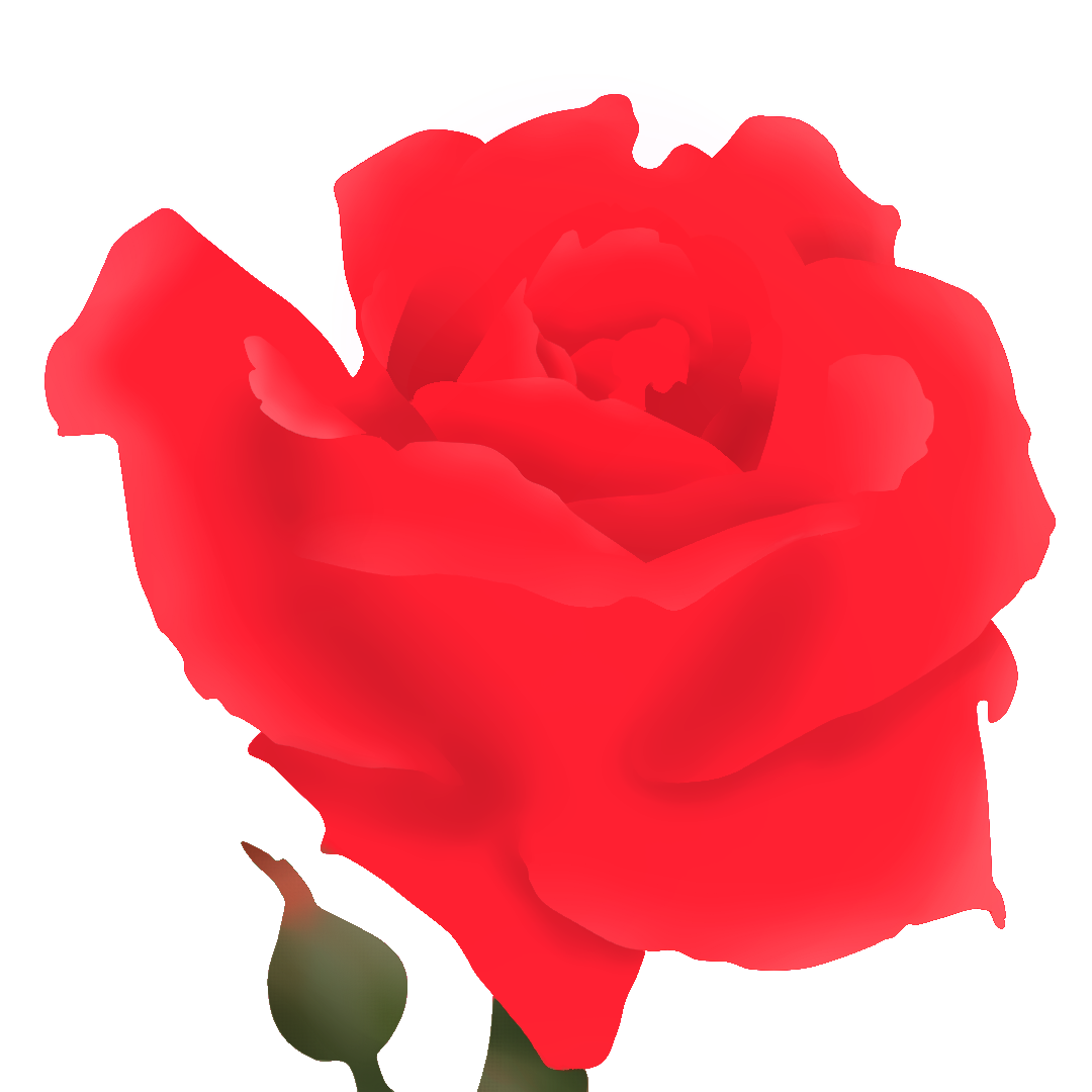 rose_sans_ligne par Nathan van Hemelryck