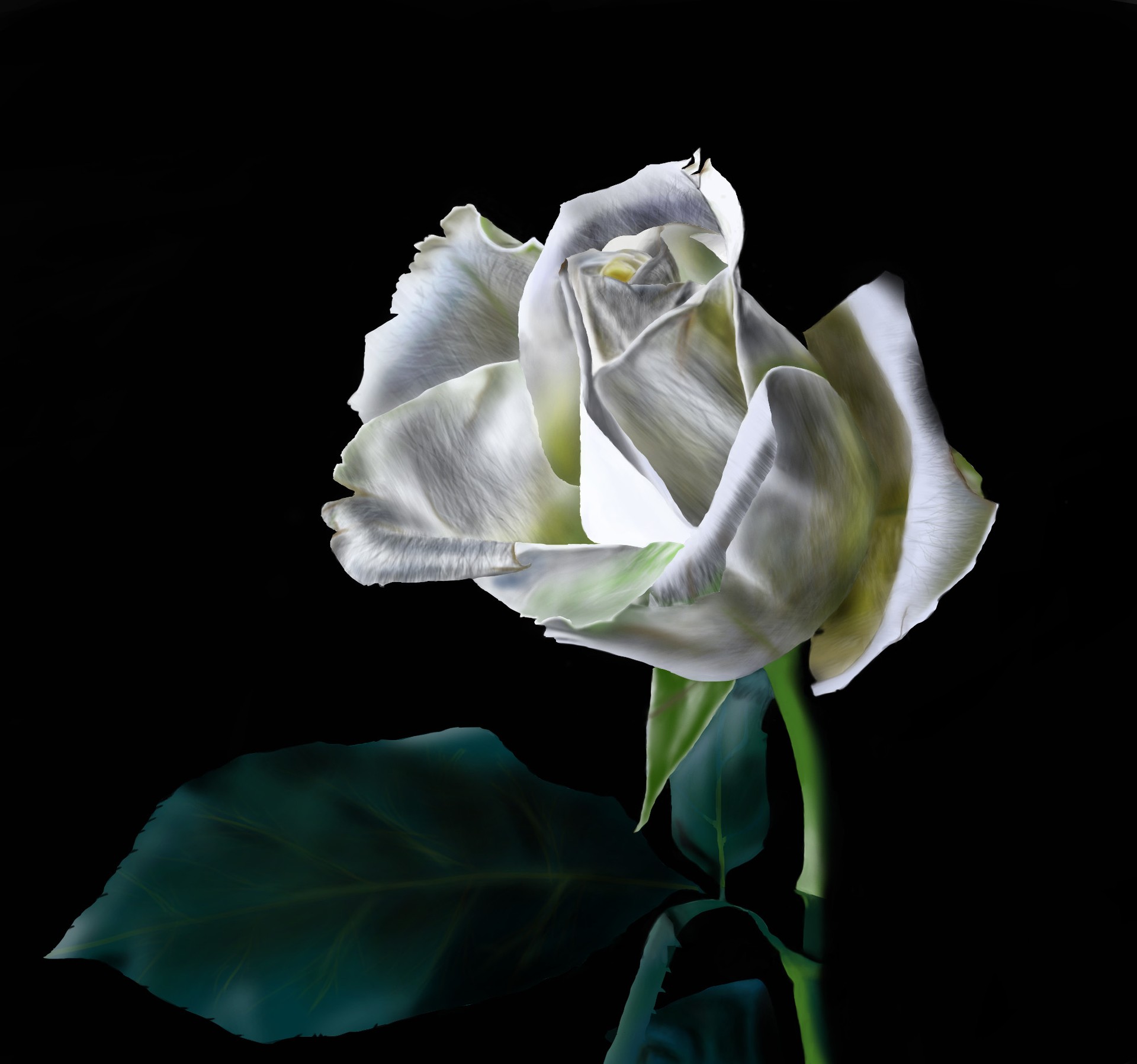 photo_exercice_lasso2- par Lisa Nymura