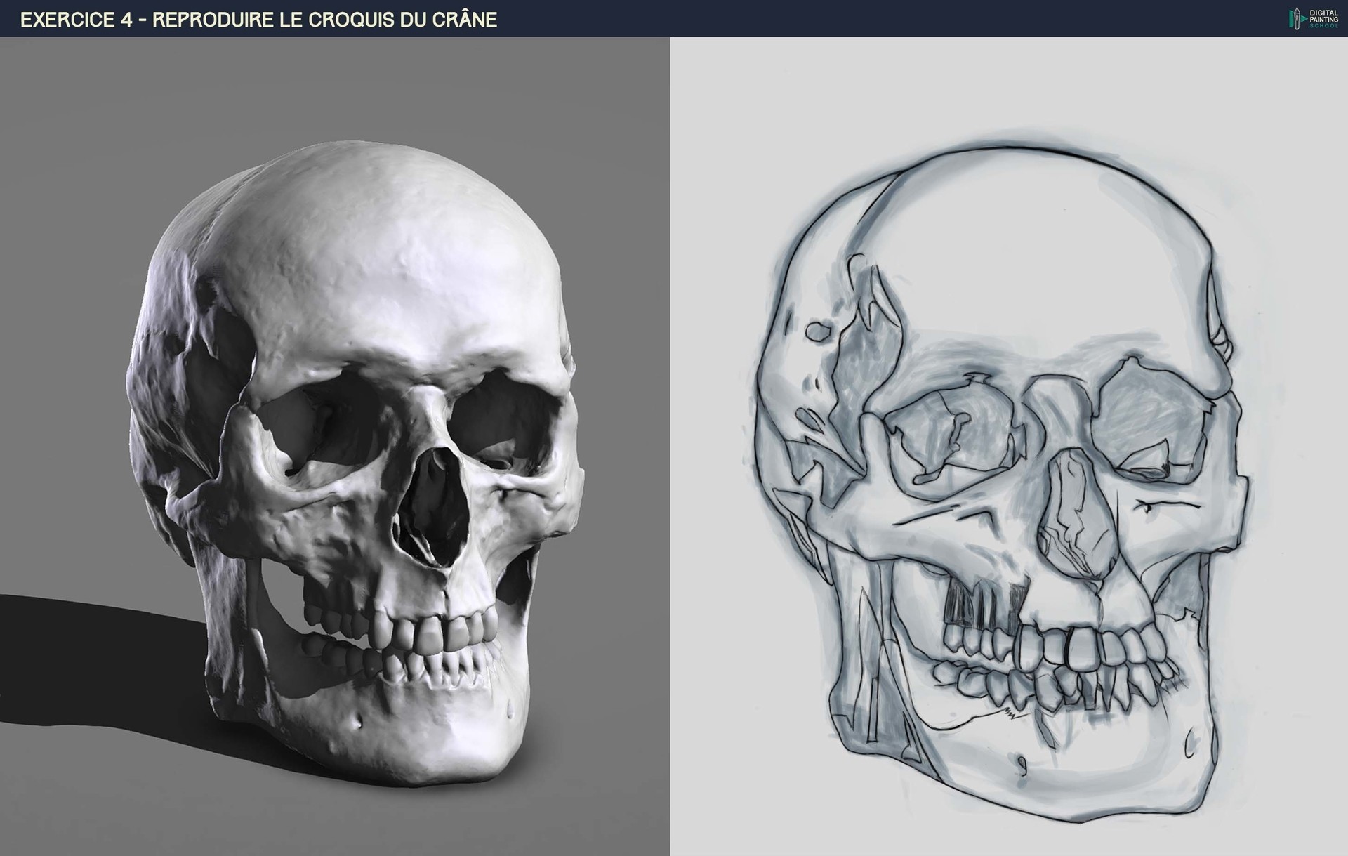 DPS-Prog-1-2-2-démo-crane-croquis 00 par Lisa Nymura