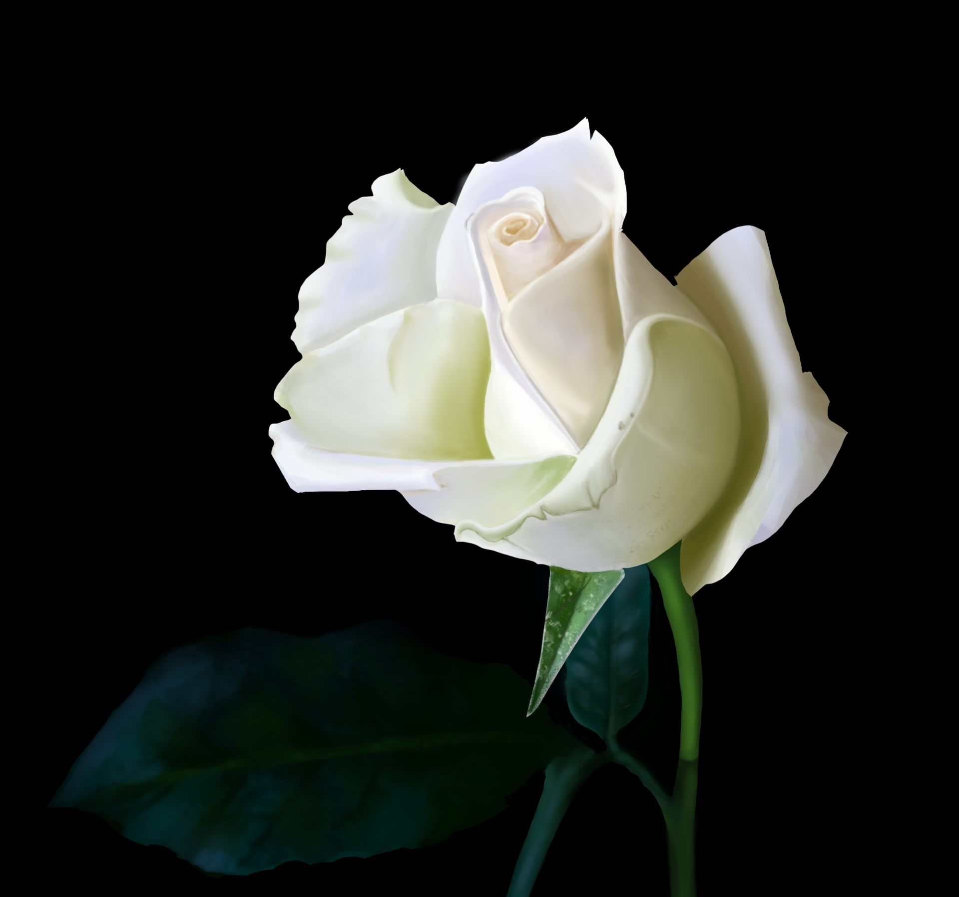 photo_lasso2 par Axel Labarrere