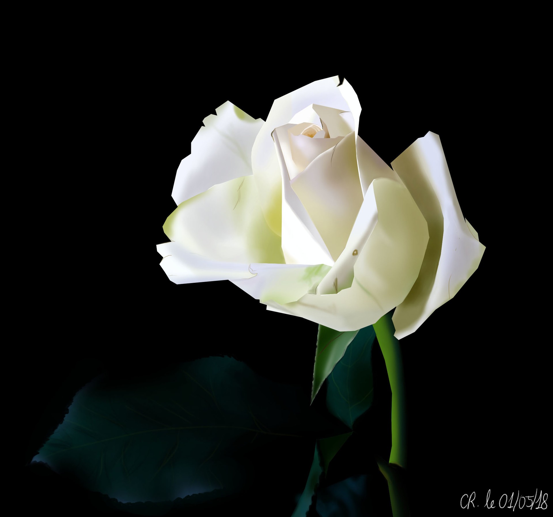 Illustration au lasso : la rose par c.renau