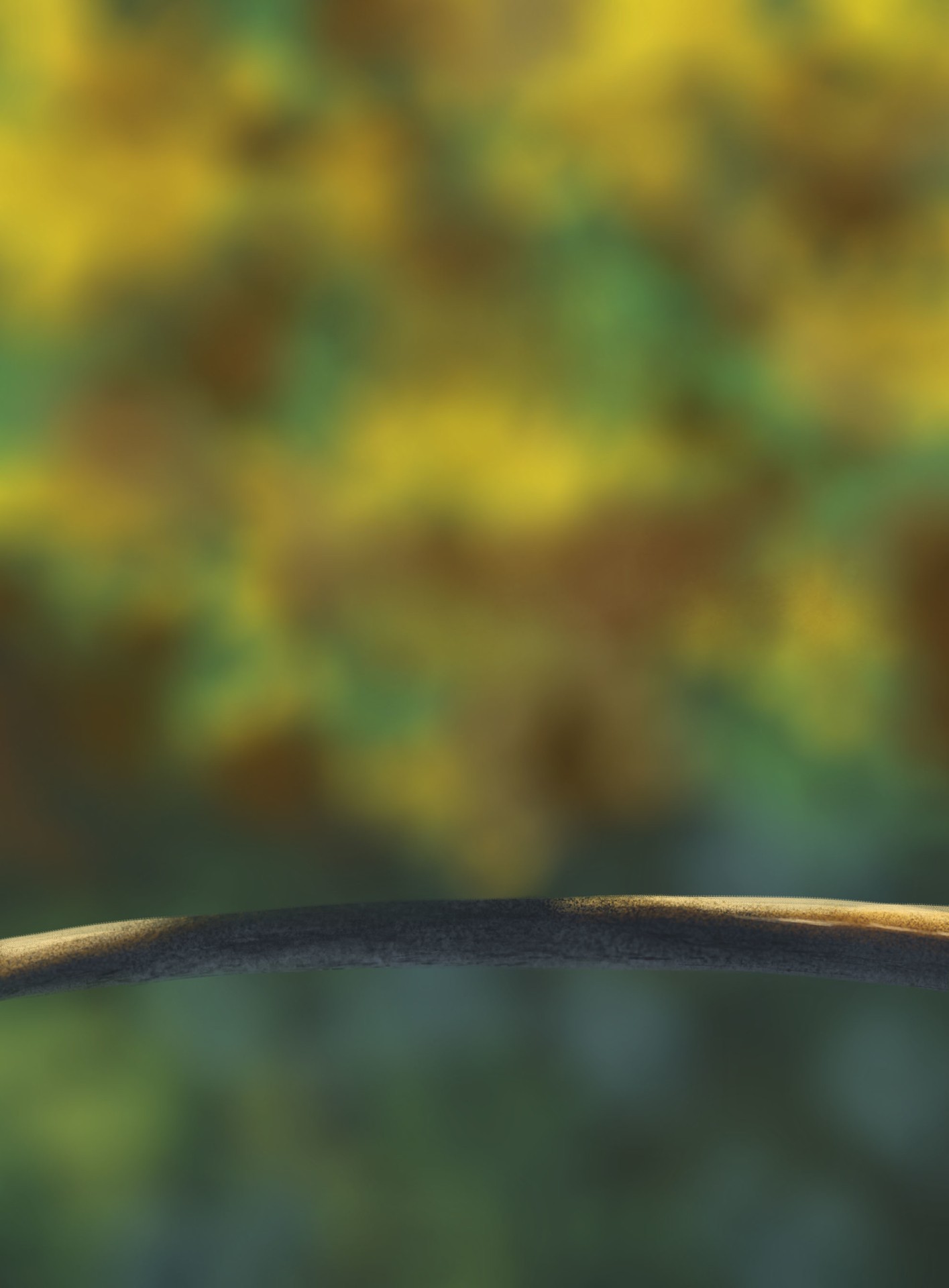 Les oisillons : 1ère étape par c.renau