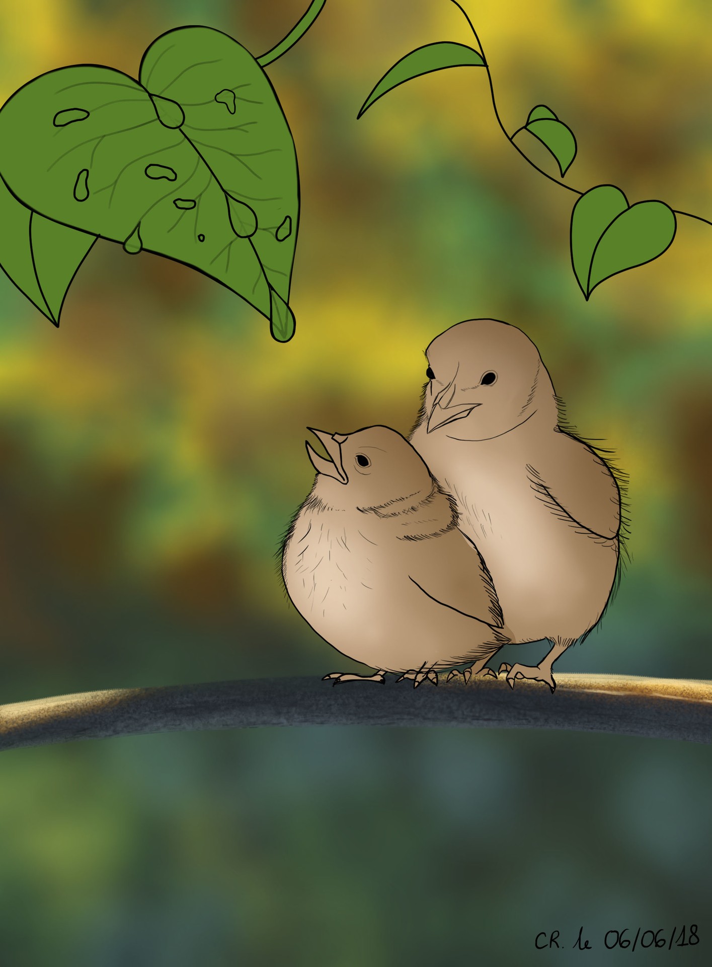 Les oisillons Etape 2 par c.renau