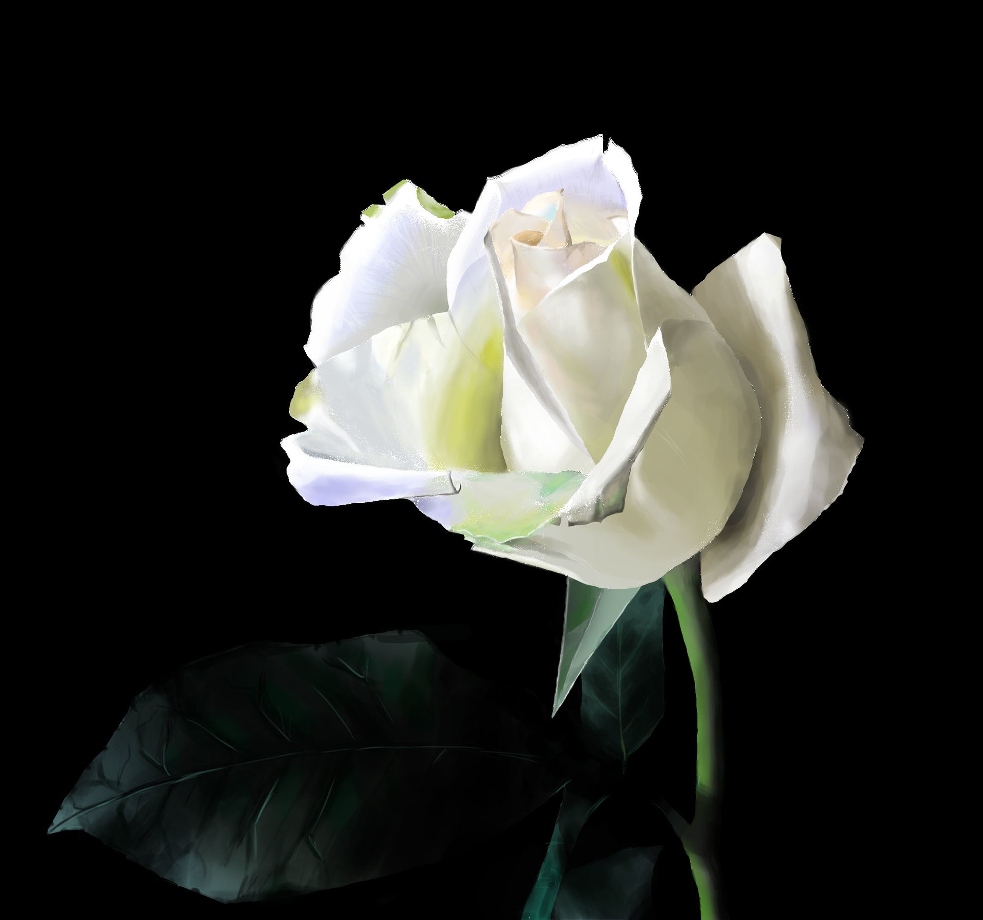 exo_fleur_final par ClemsNo