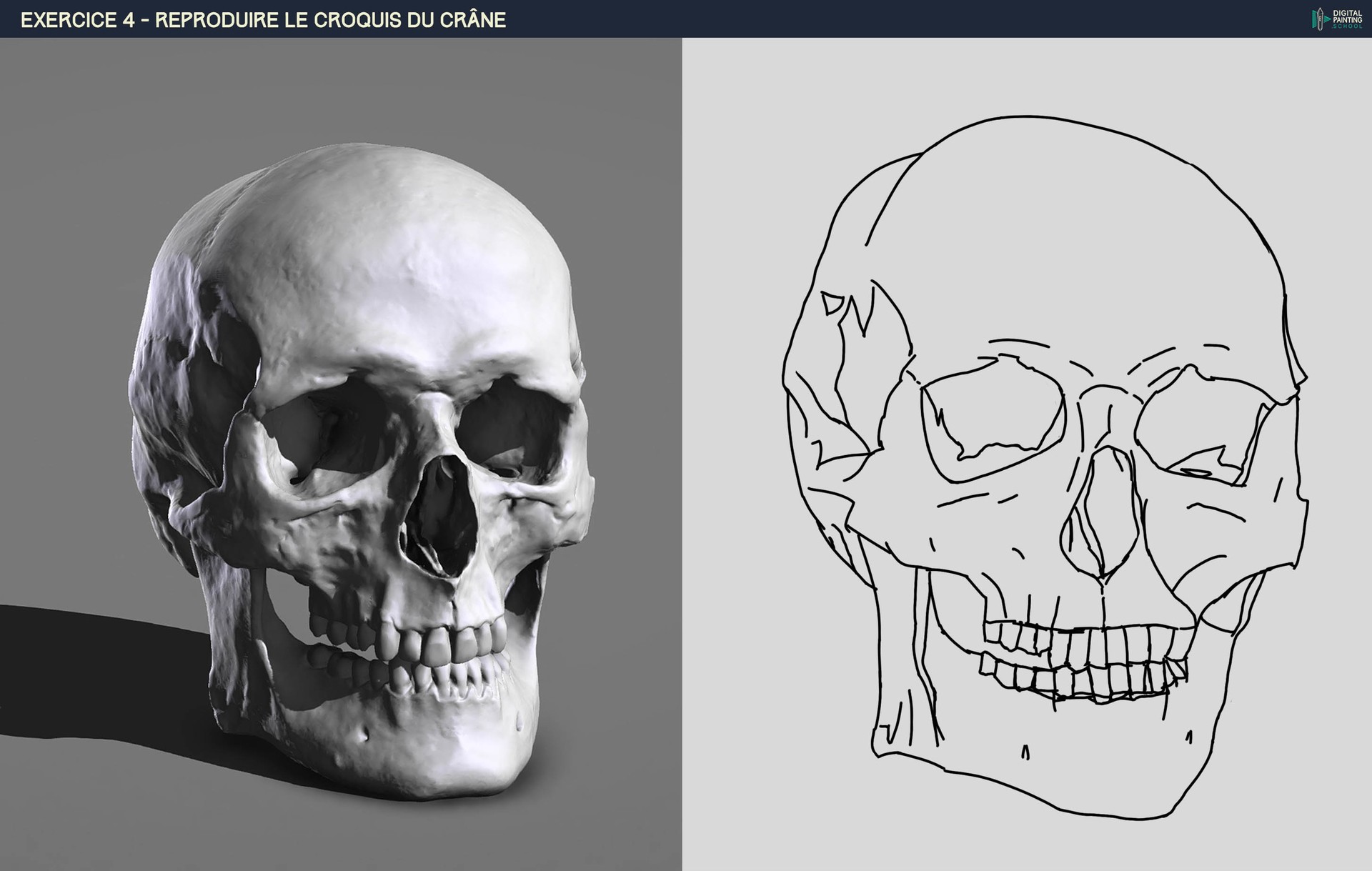 DPS-Prog-1-2-2-démo-crane-croquis par Sventas