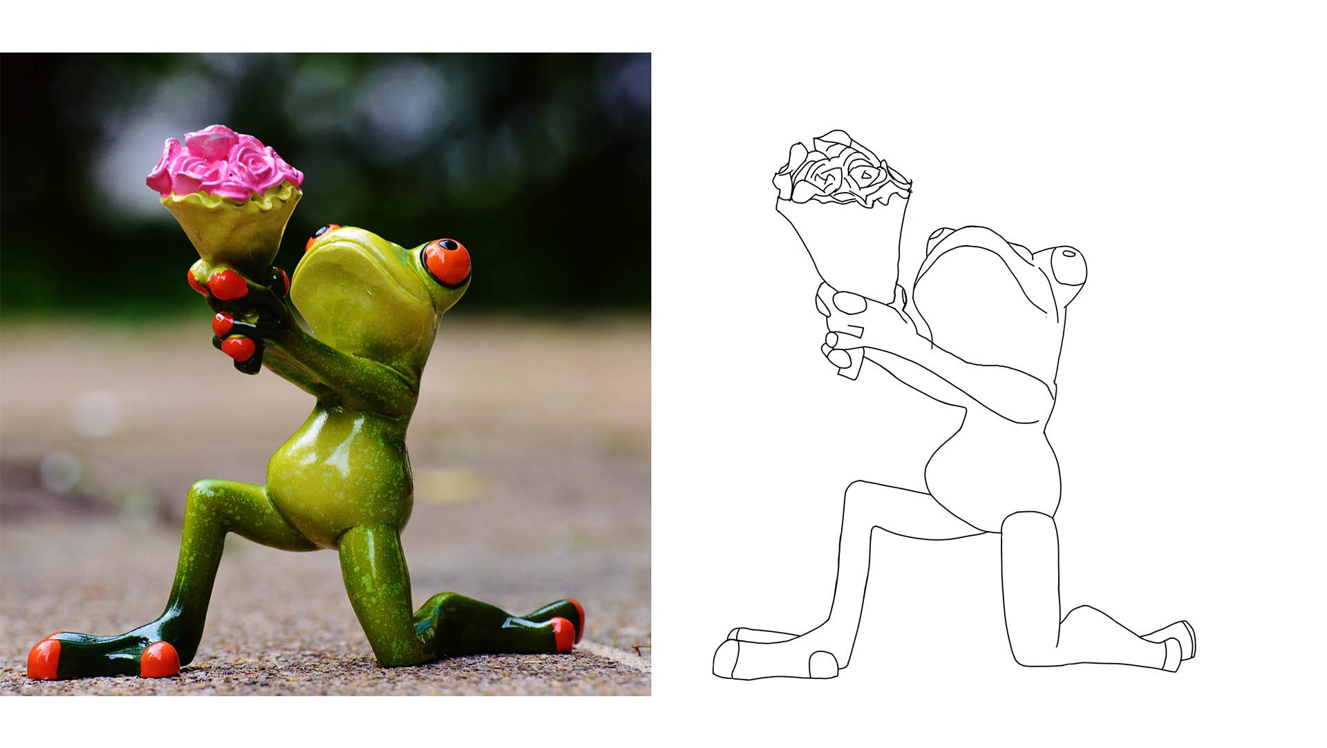 Excercice5, chap2, Grenouille par Sventas