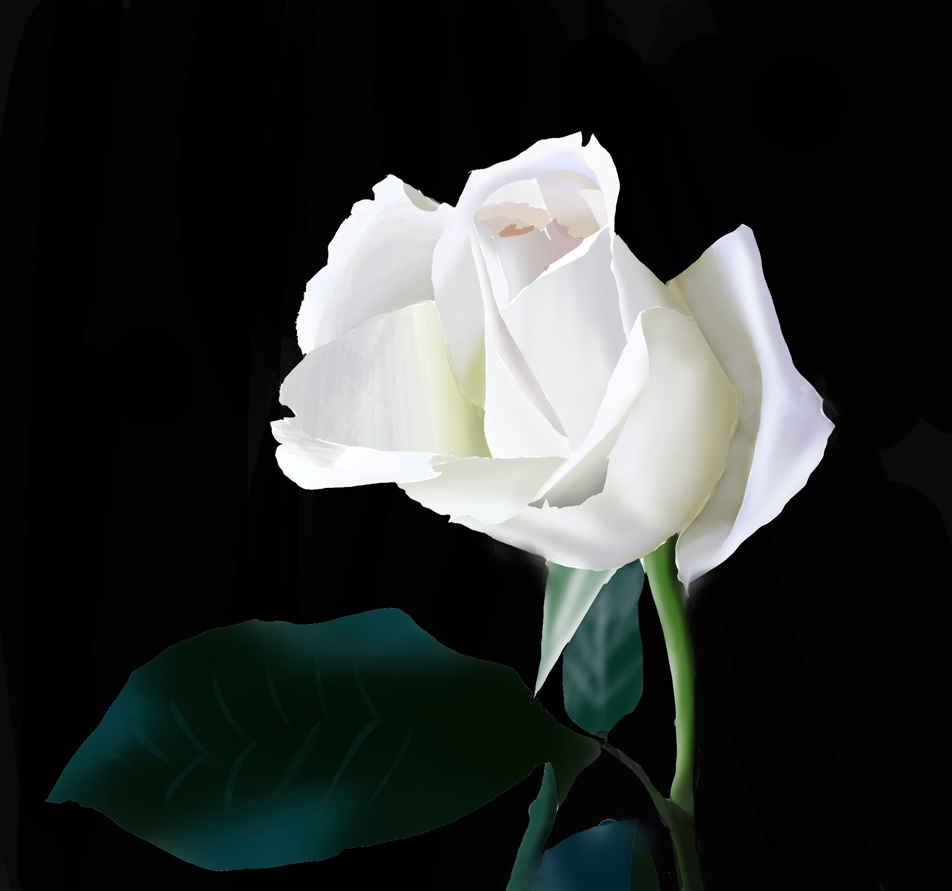 photo_exercice_lasso2 par yomekazu