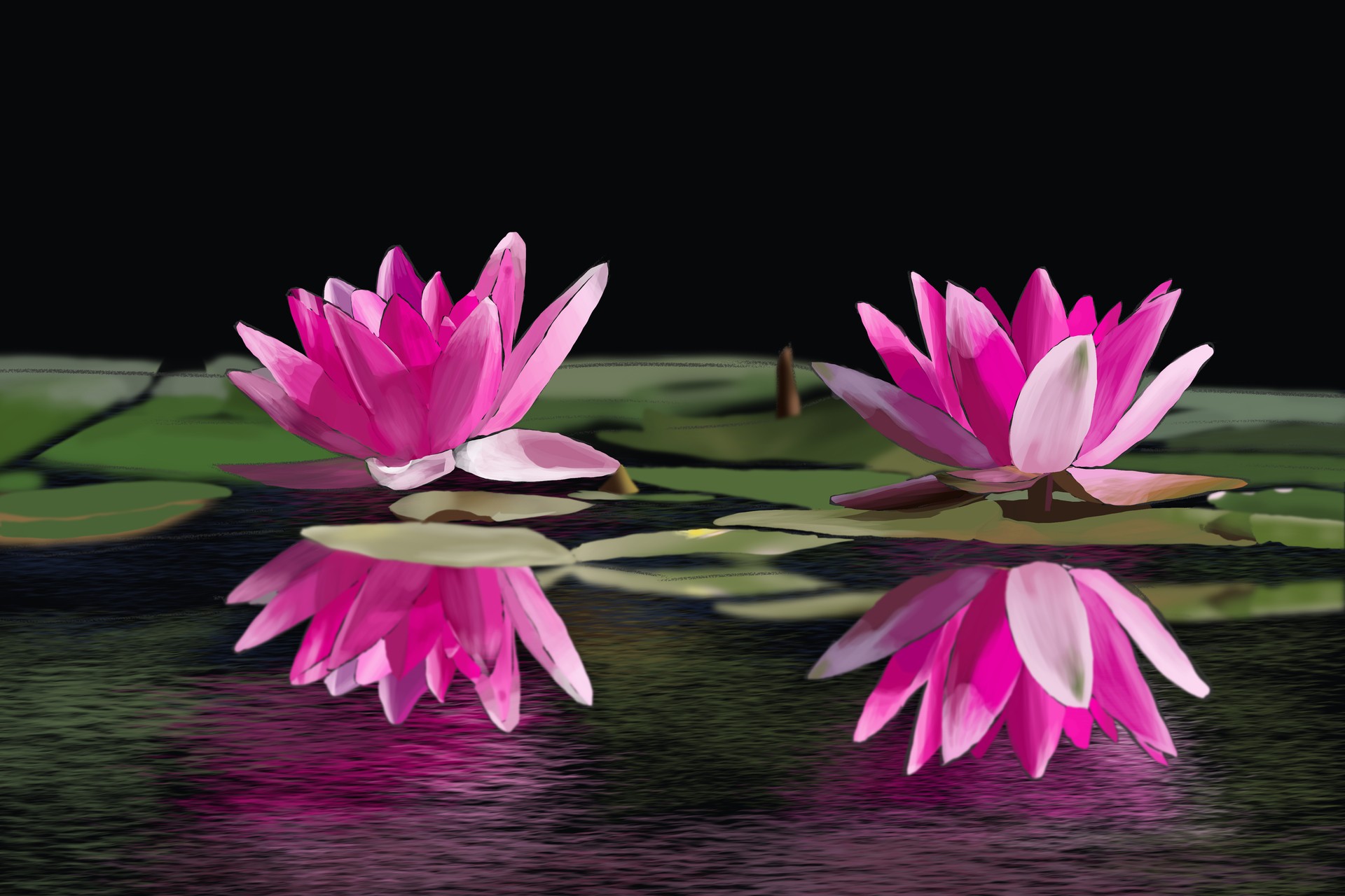 photo_exercice_lasso3 par yomekazu