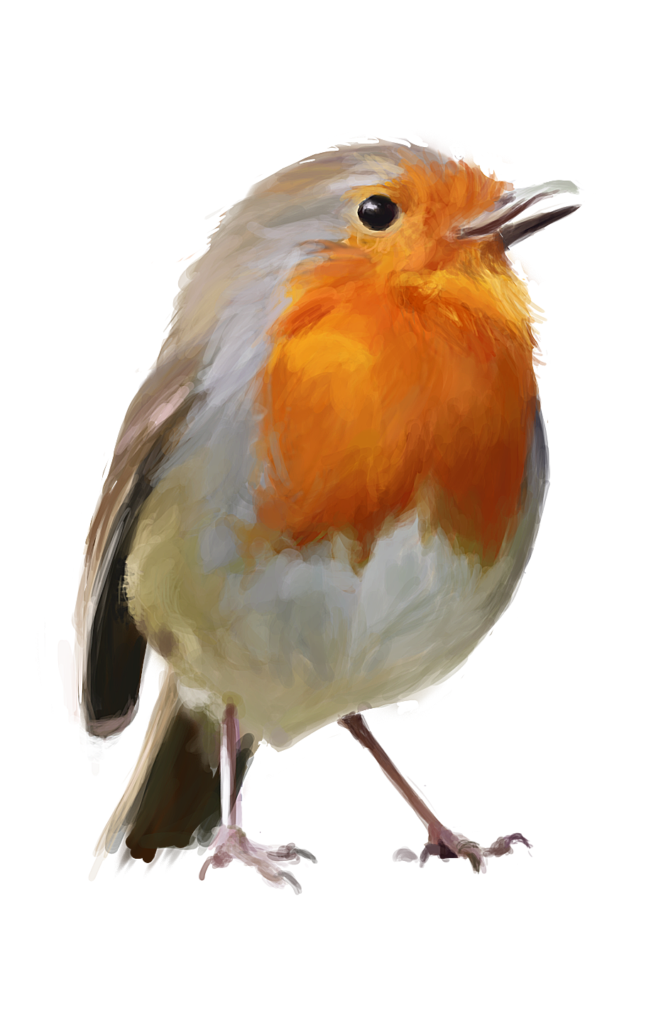 Oiseau Moins flou par CamaradeLelouch