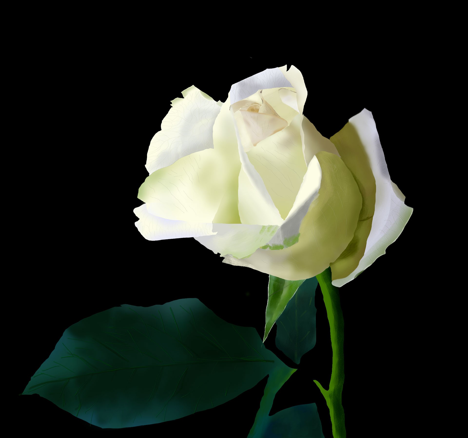 DPS_photo_exercice_rose par arilir