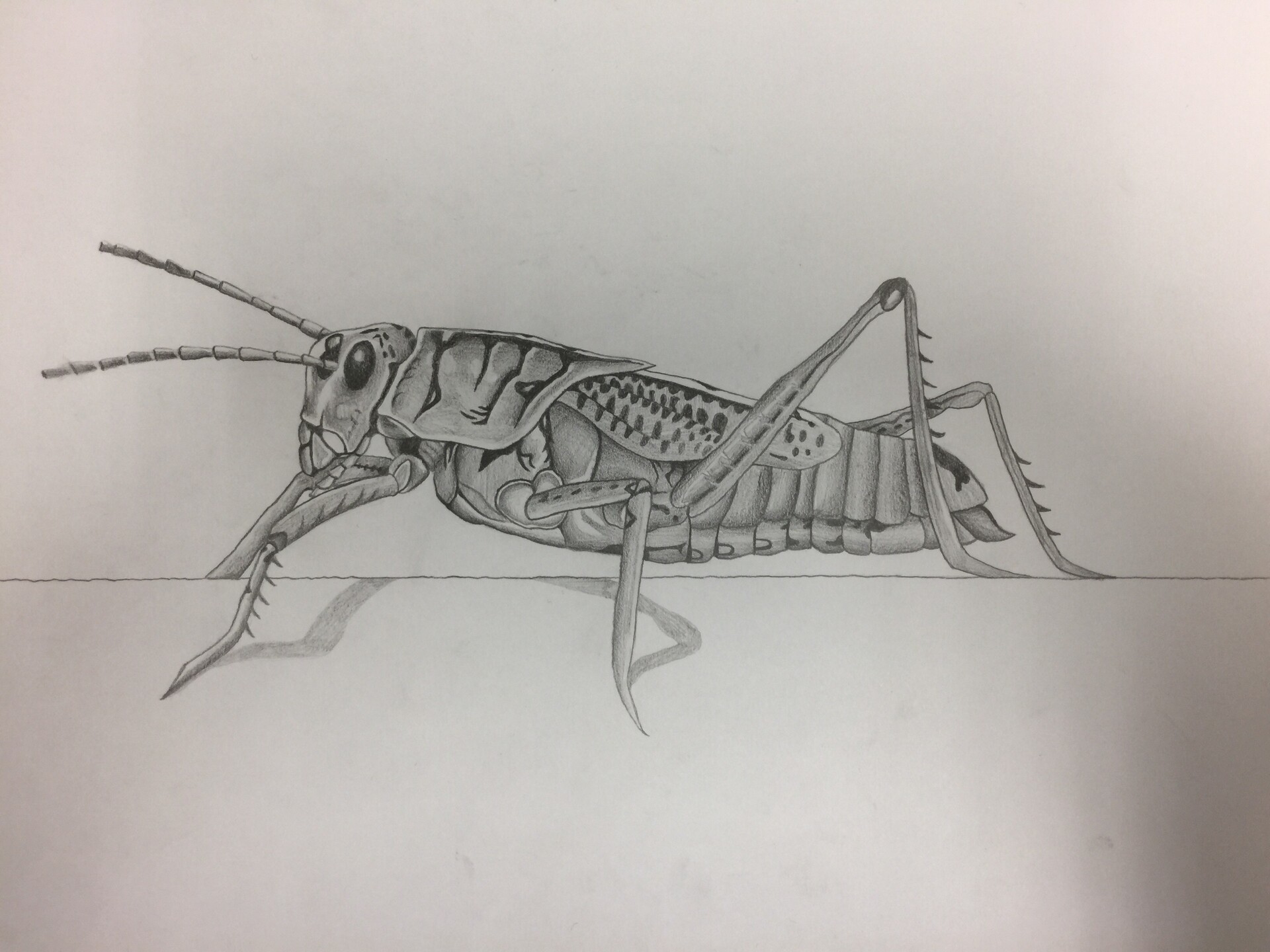 kevin-chavenon-img-0369 par WeeDLemoNFiRe