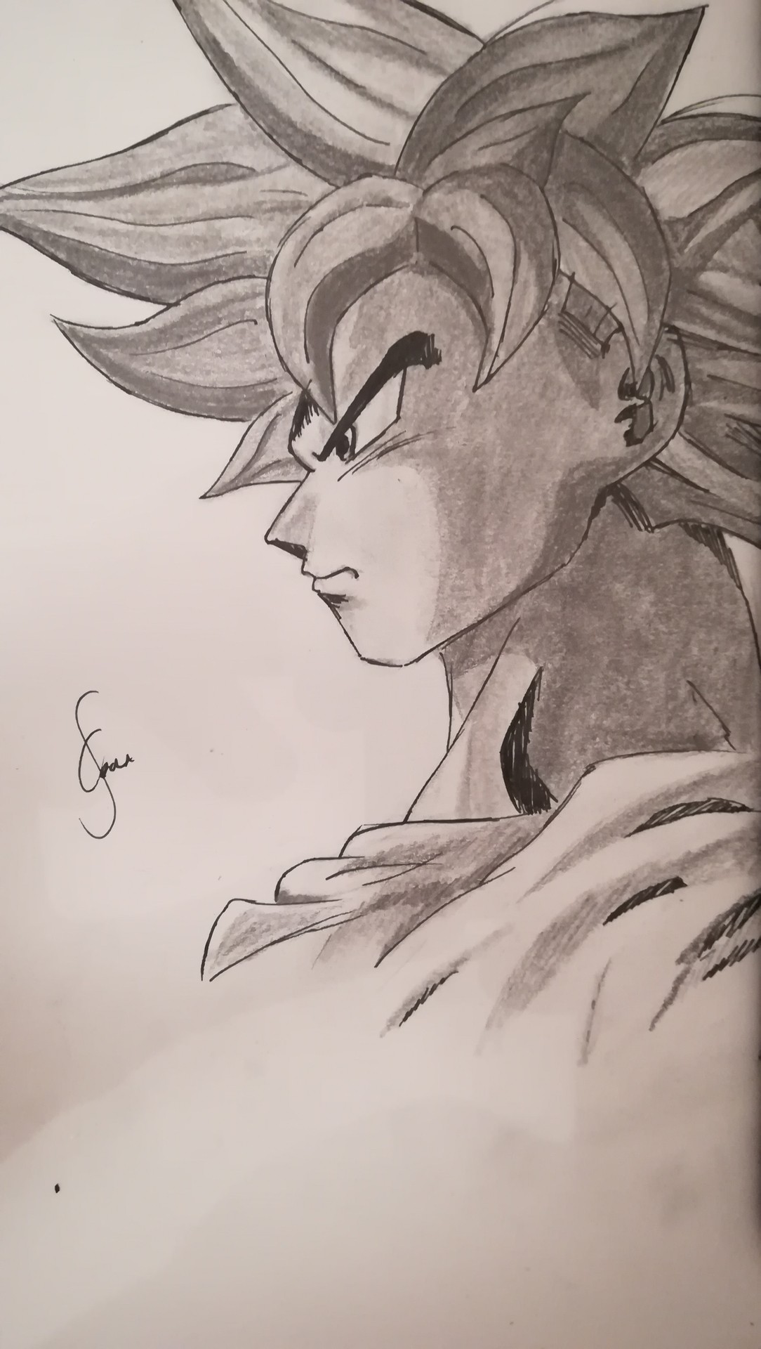 IMG_20181102_015828 par Jofox