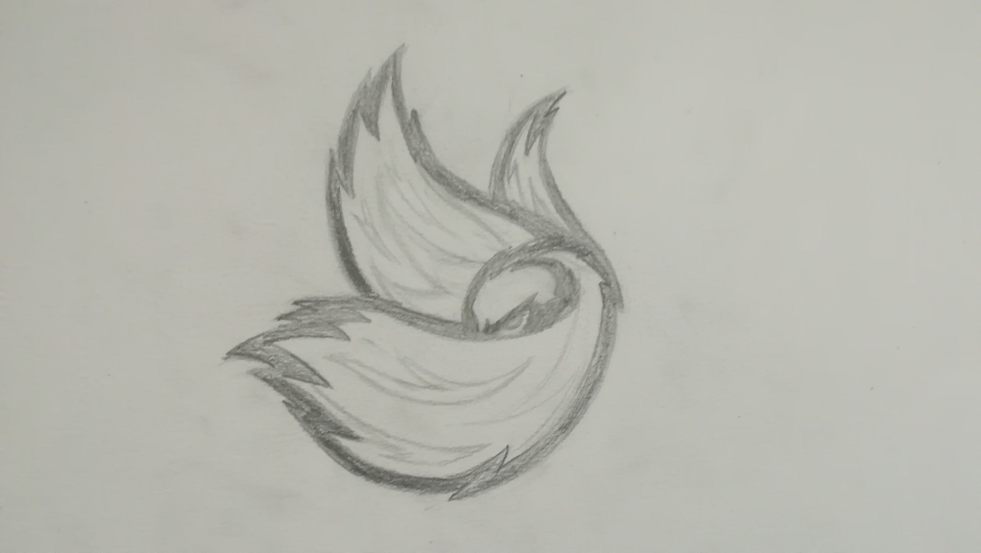 IMG_20190104_163440 par Jofox