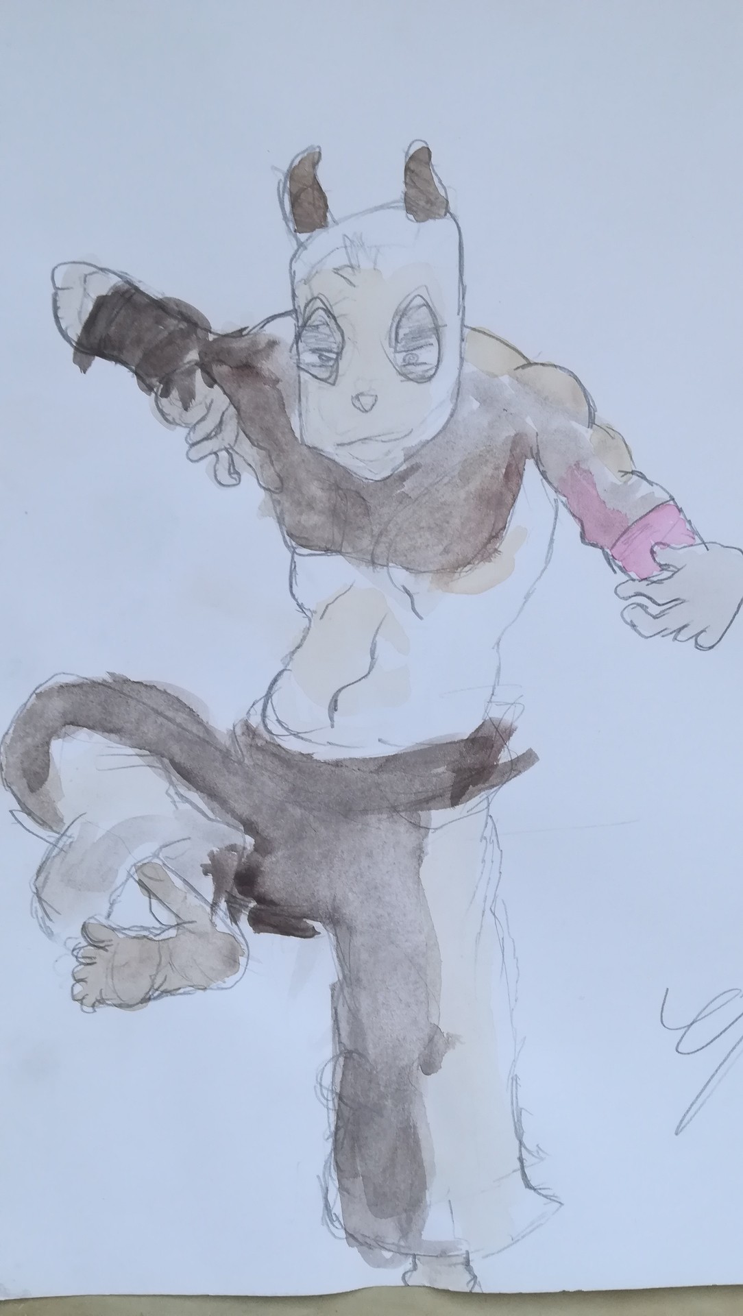 IMG_20190222_164352 par Jofox