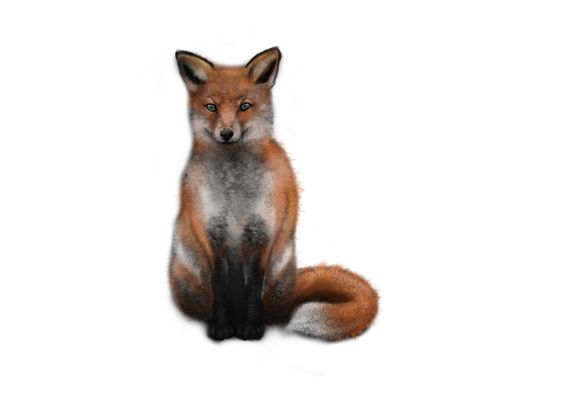 fox par helo58