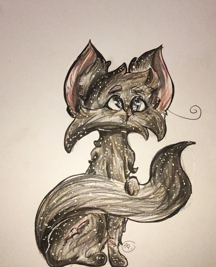 IMG_0625 par Bunny Bow