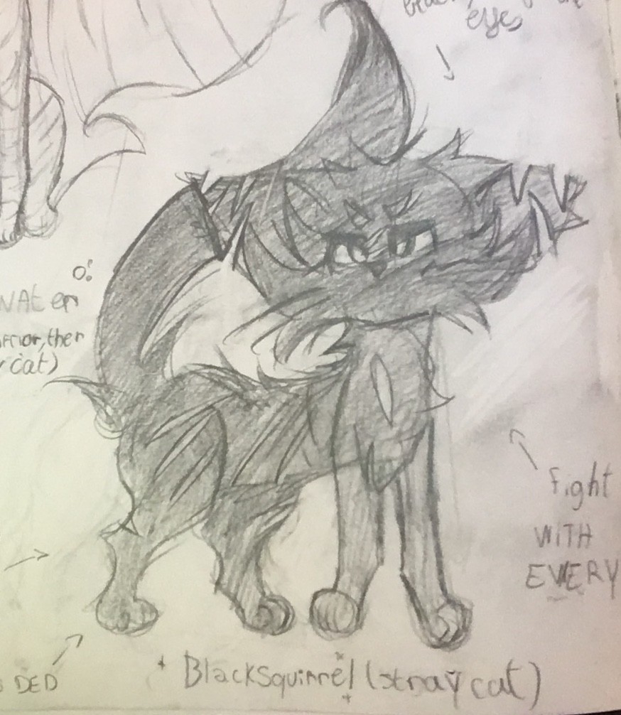 IMG_0738 par Bunny Bow