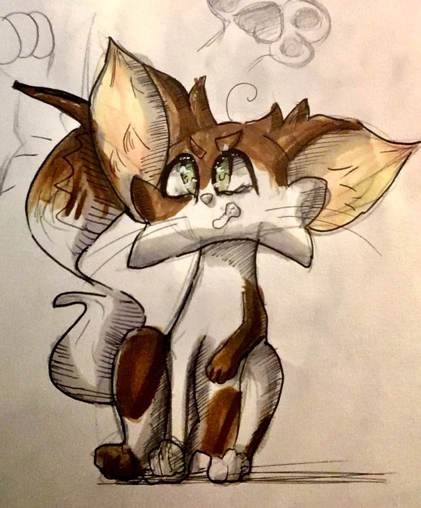 IMG_0771 par Bunny Bow