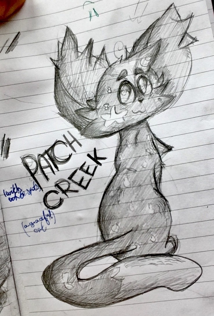 IMG_0841 par Bunny Bow