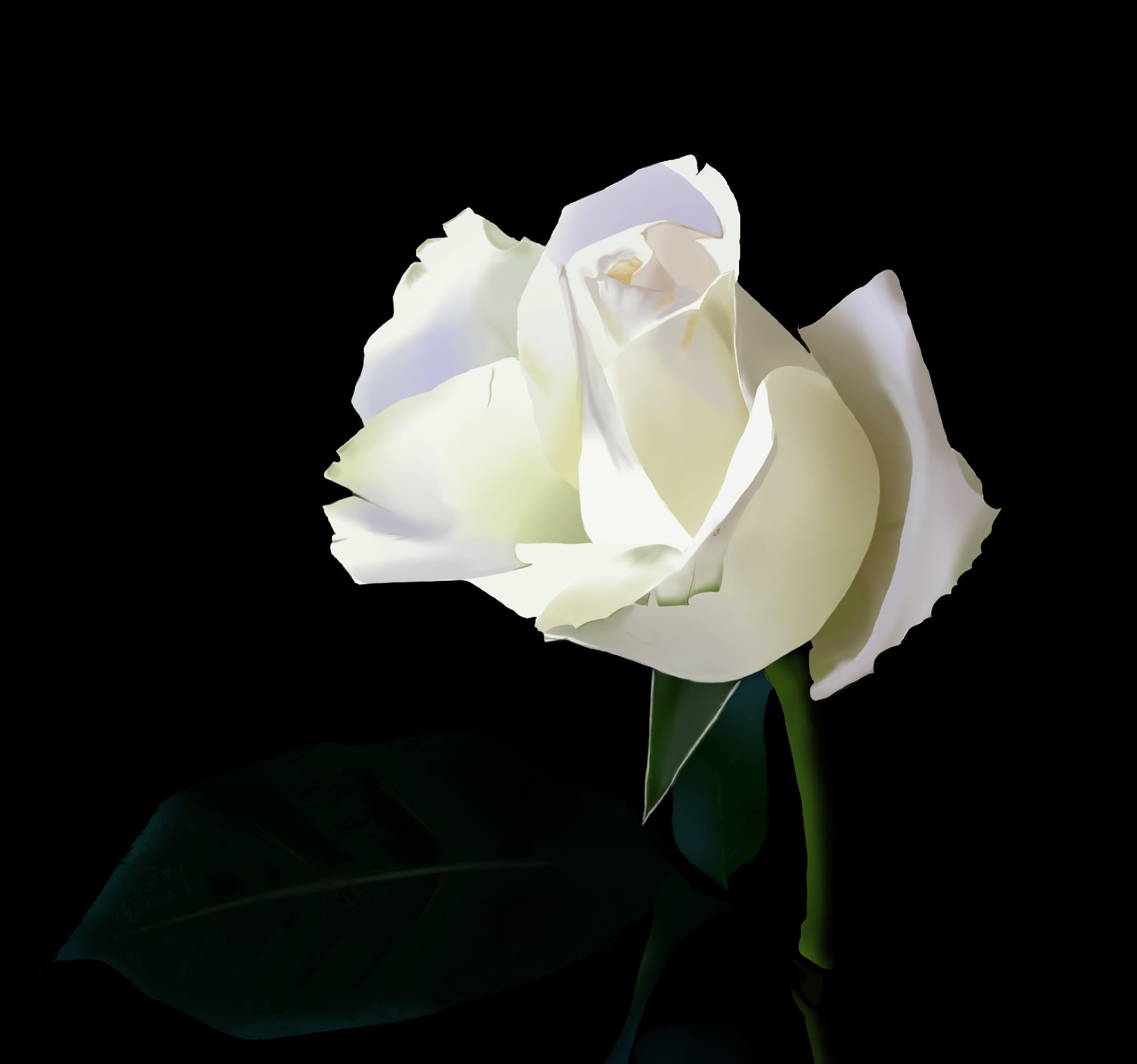 photo-rosefinieexercice-lasso2-611402df.