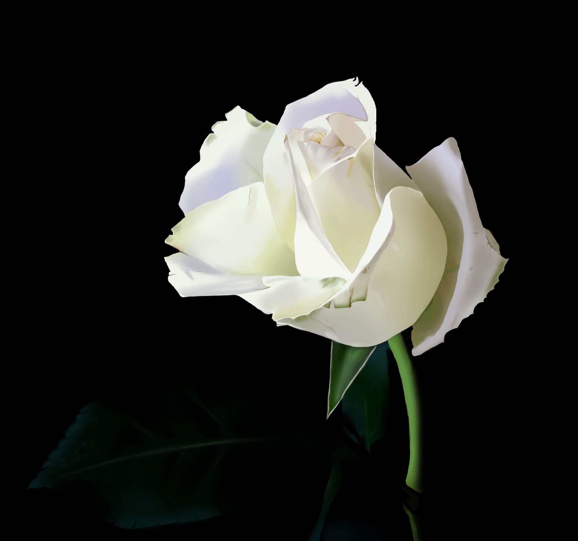 photo-rosefinieexercice-lasso2-611968a0.