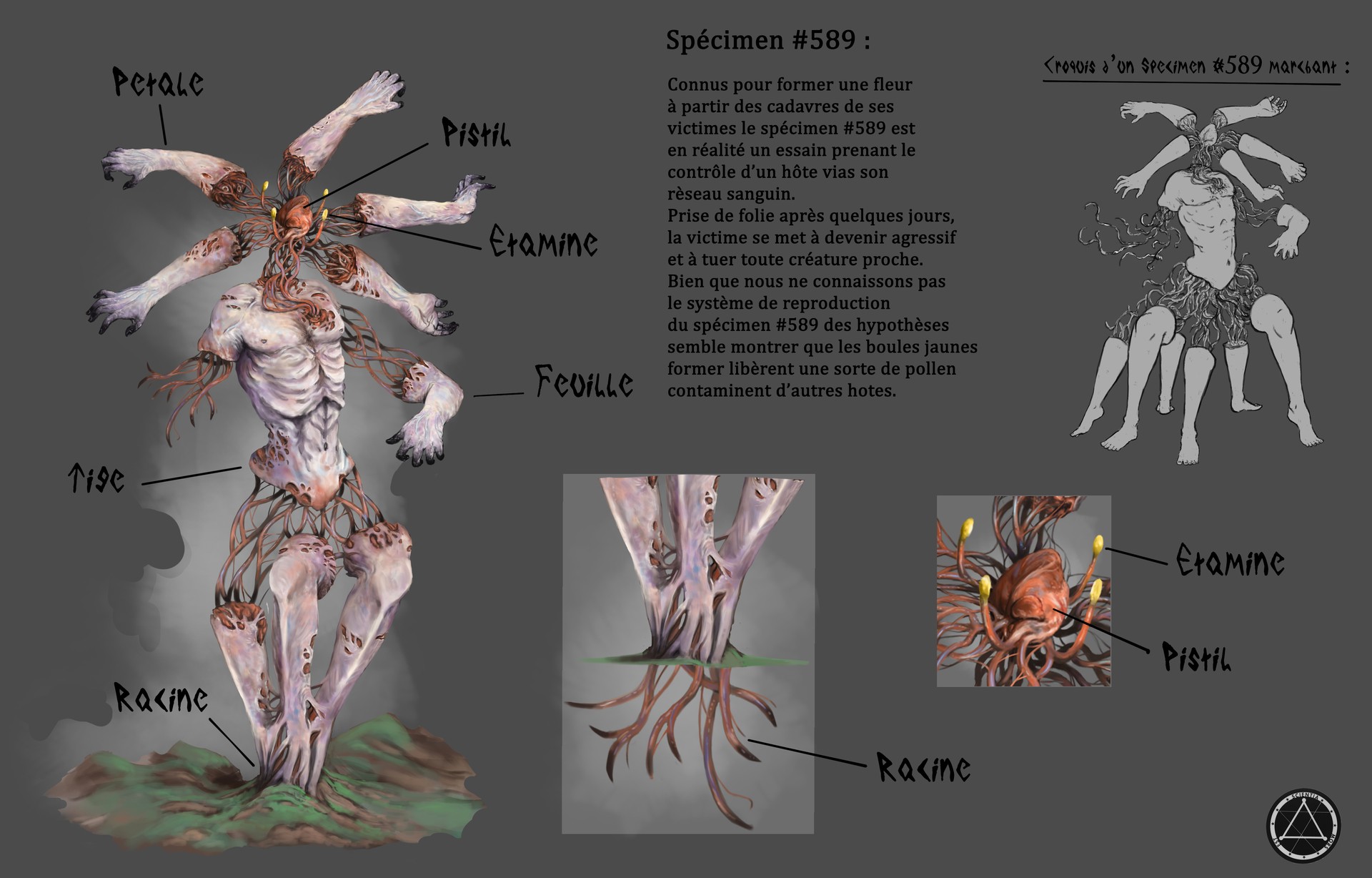 Spécimen #589 fiche par Damdeo